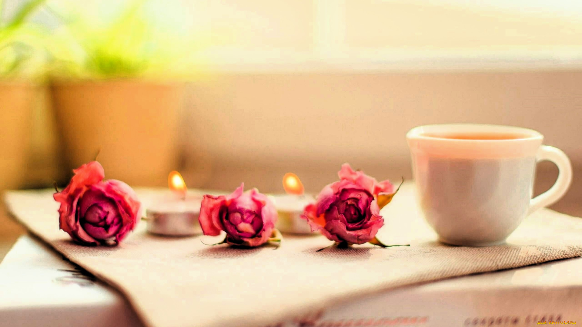 разное, посуда, , столовые, приборы, , кухонная, утварь, книга, салфетка, чашка, цветы, свечи