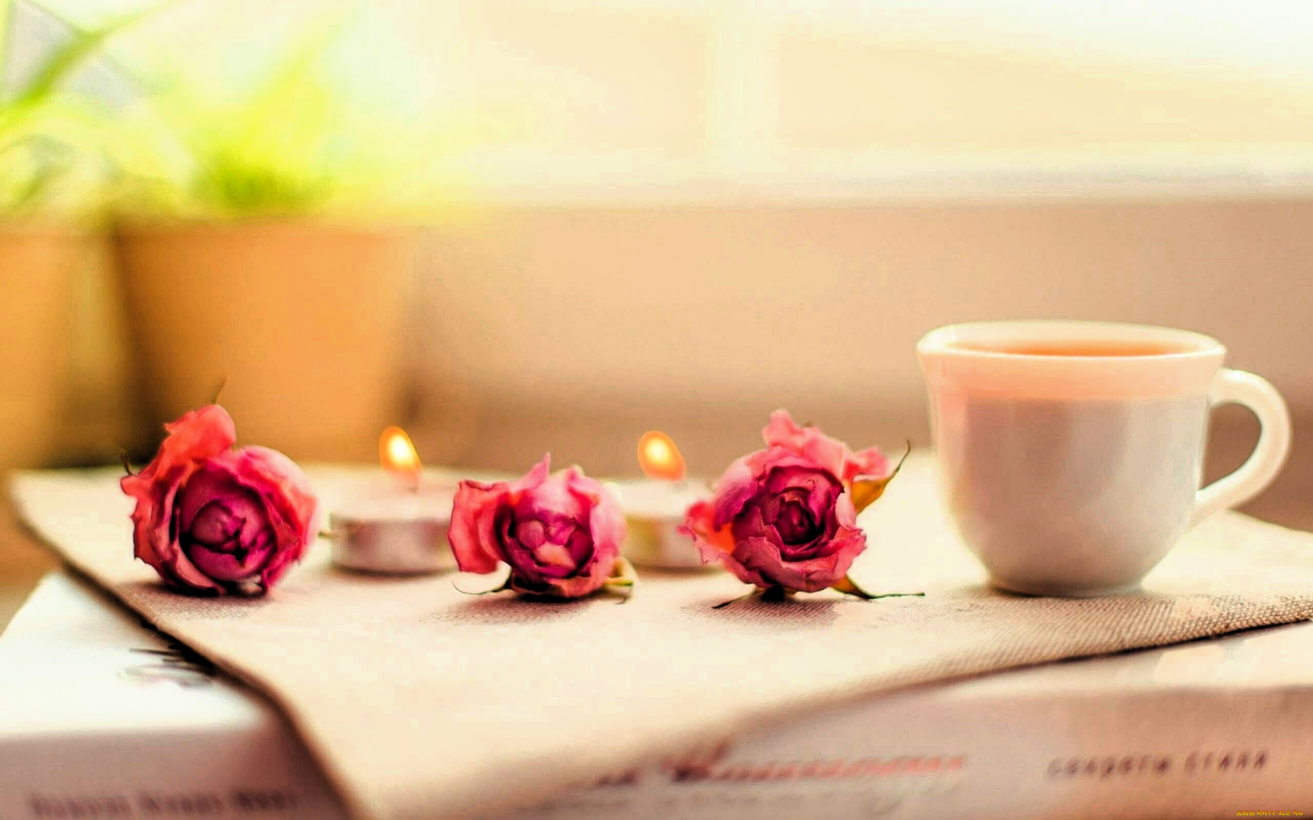 разное, посуда, , столовые, приборы, , кухонная, утварь, книга, салфетка, чашка, цветы, свечи