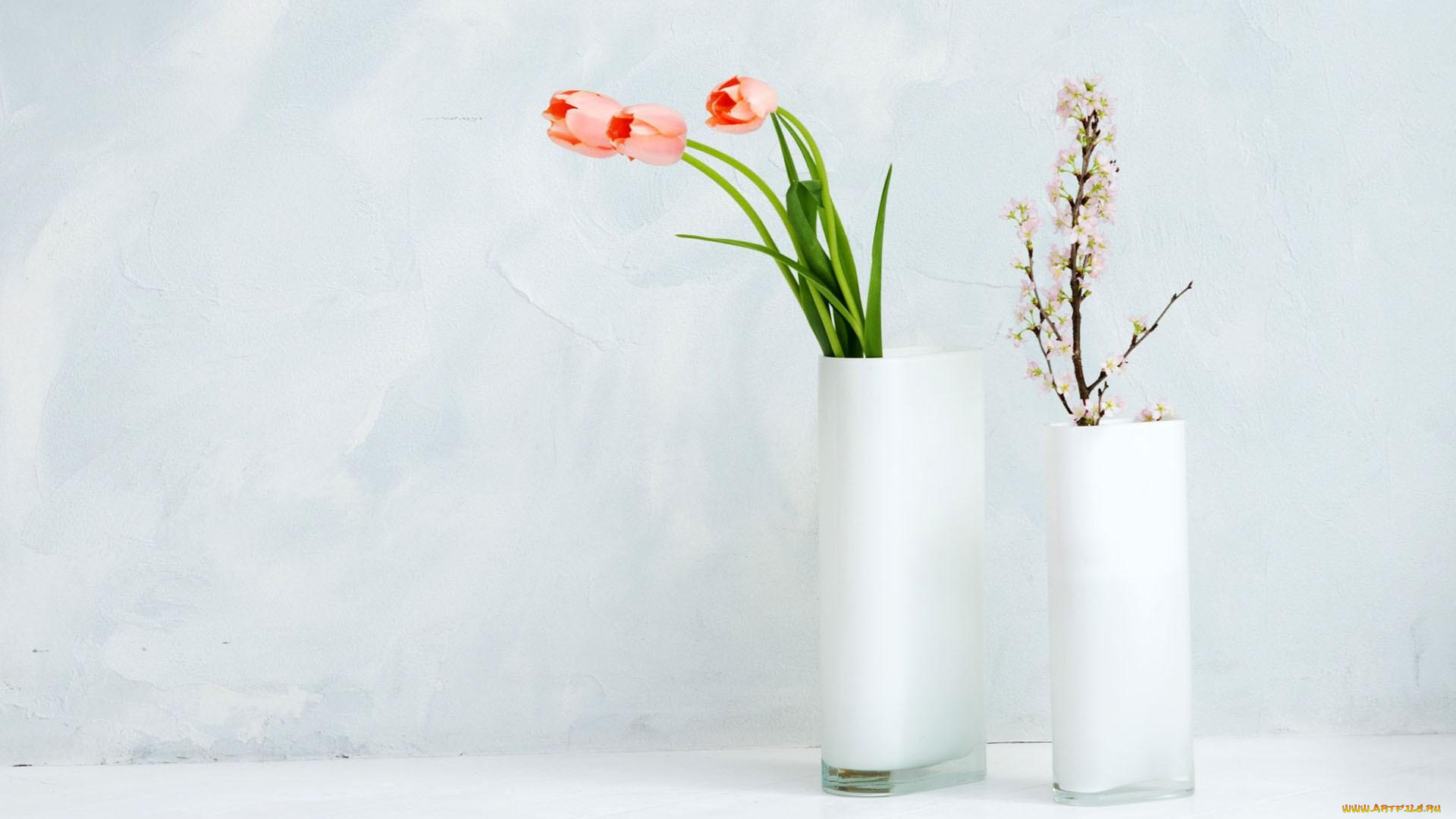 цветы, разные, вместе