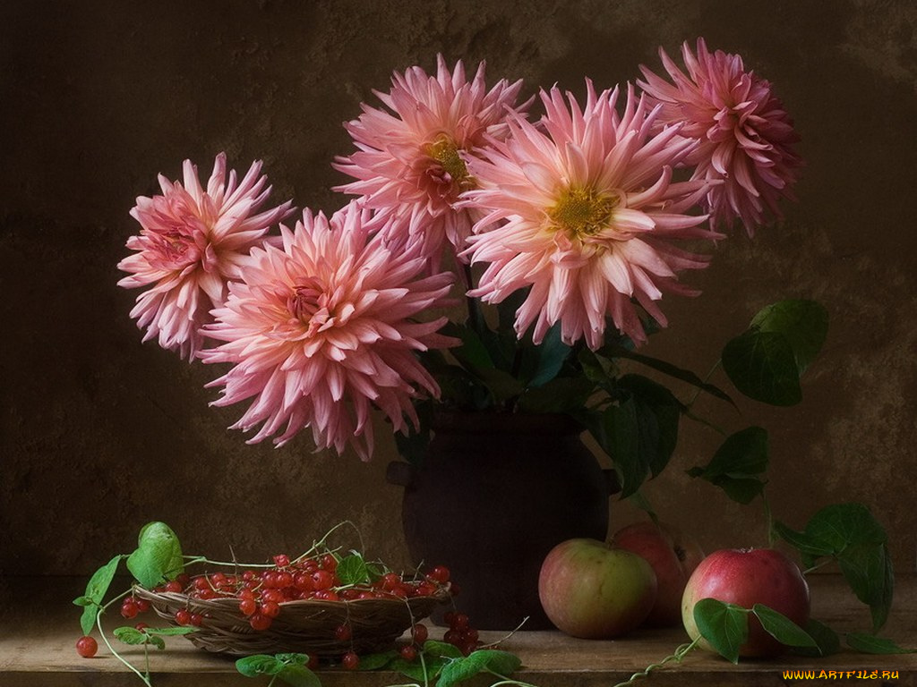 авт, ли, ши, георгины, цветы