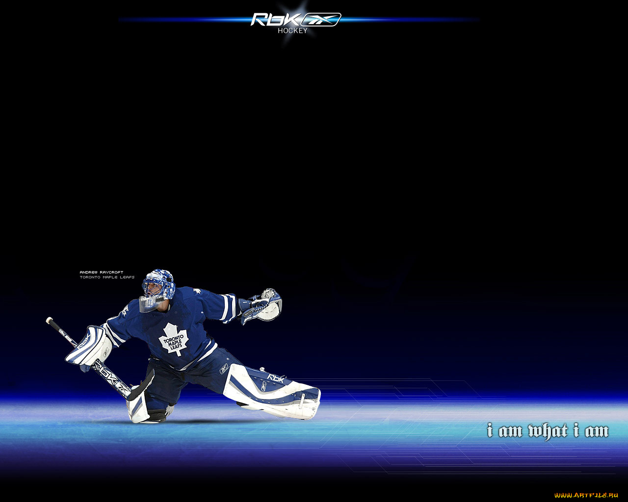 бренды, reebok