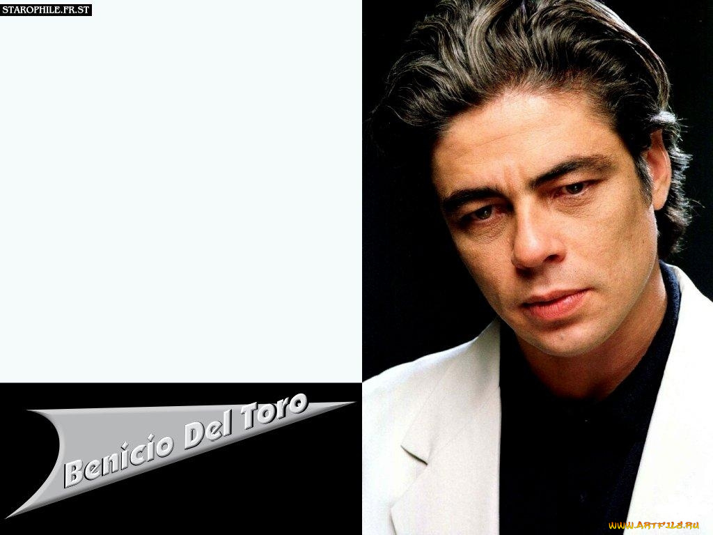 мужчины, benicio, del, toro