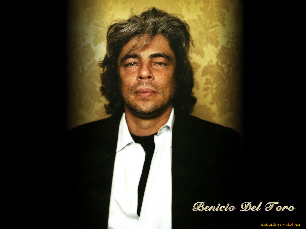 мужчины, benicio, del, toro