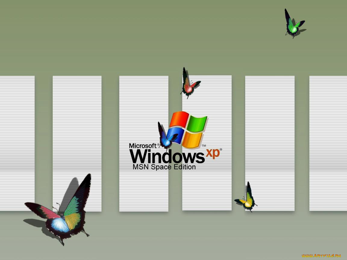 компьютеры, windows, xp