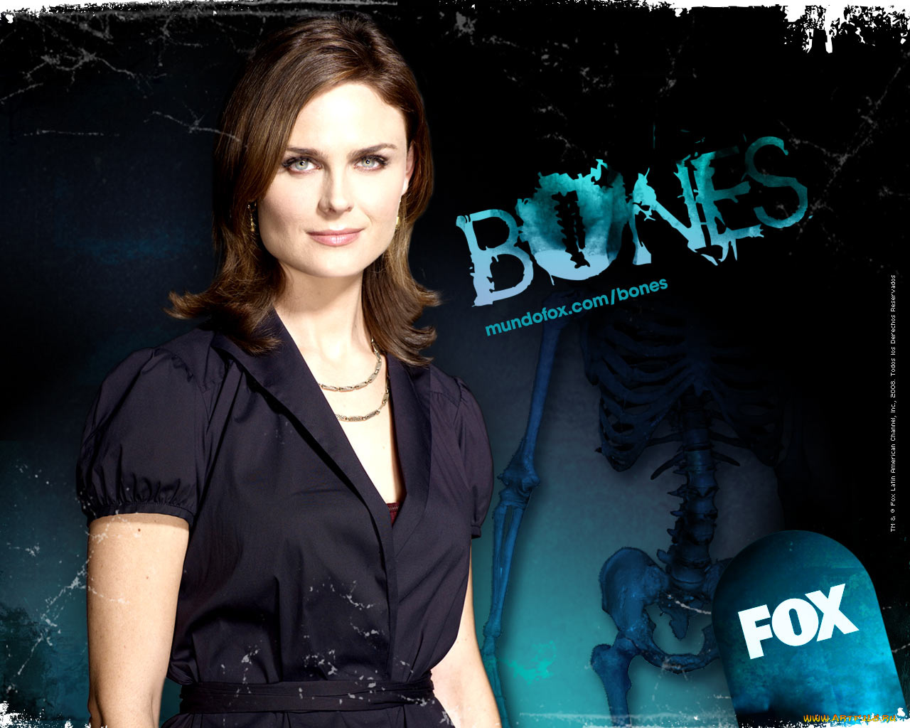 кино, фильмы, bones
