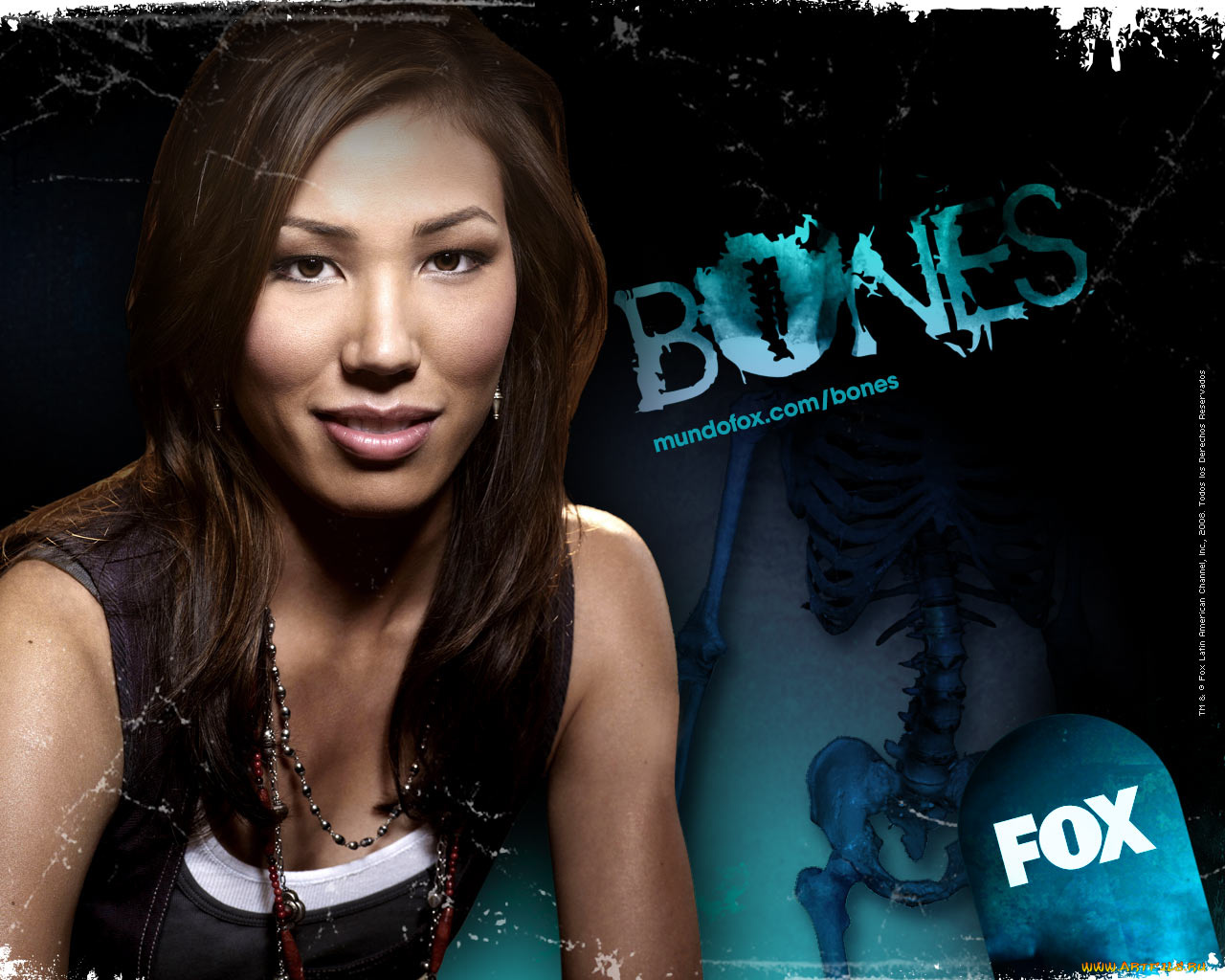 кино, фильмы, bones