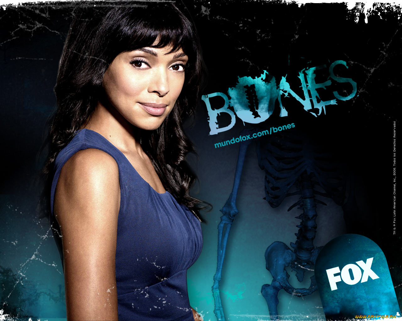 кино, фильмы, bones