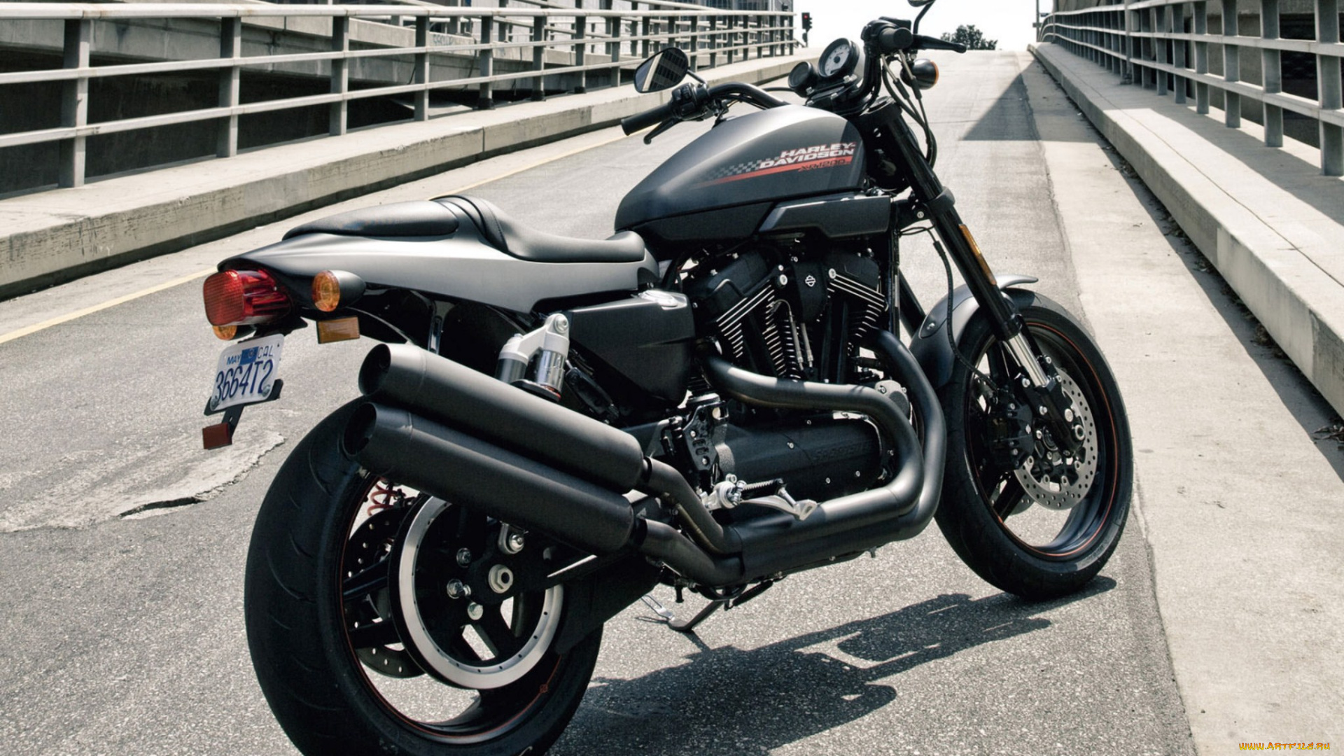 мотоциклы, harley, davidson