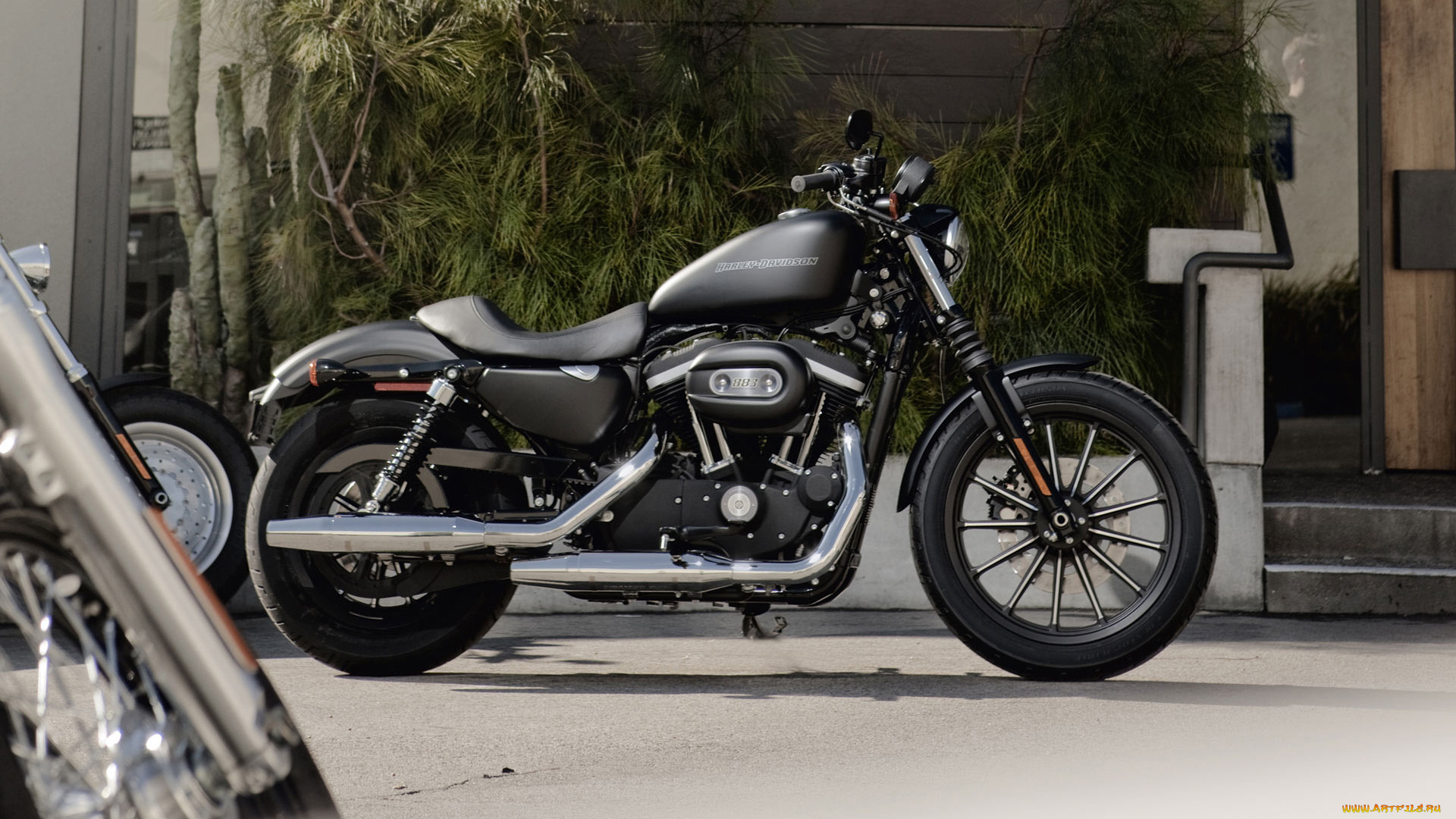 мотоциклы, harley, davidson