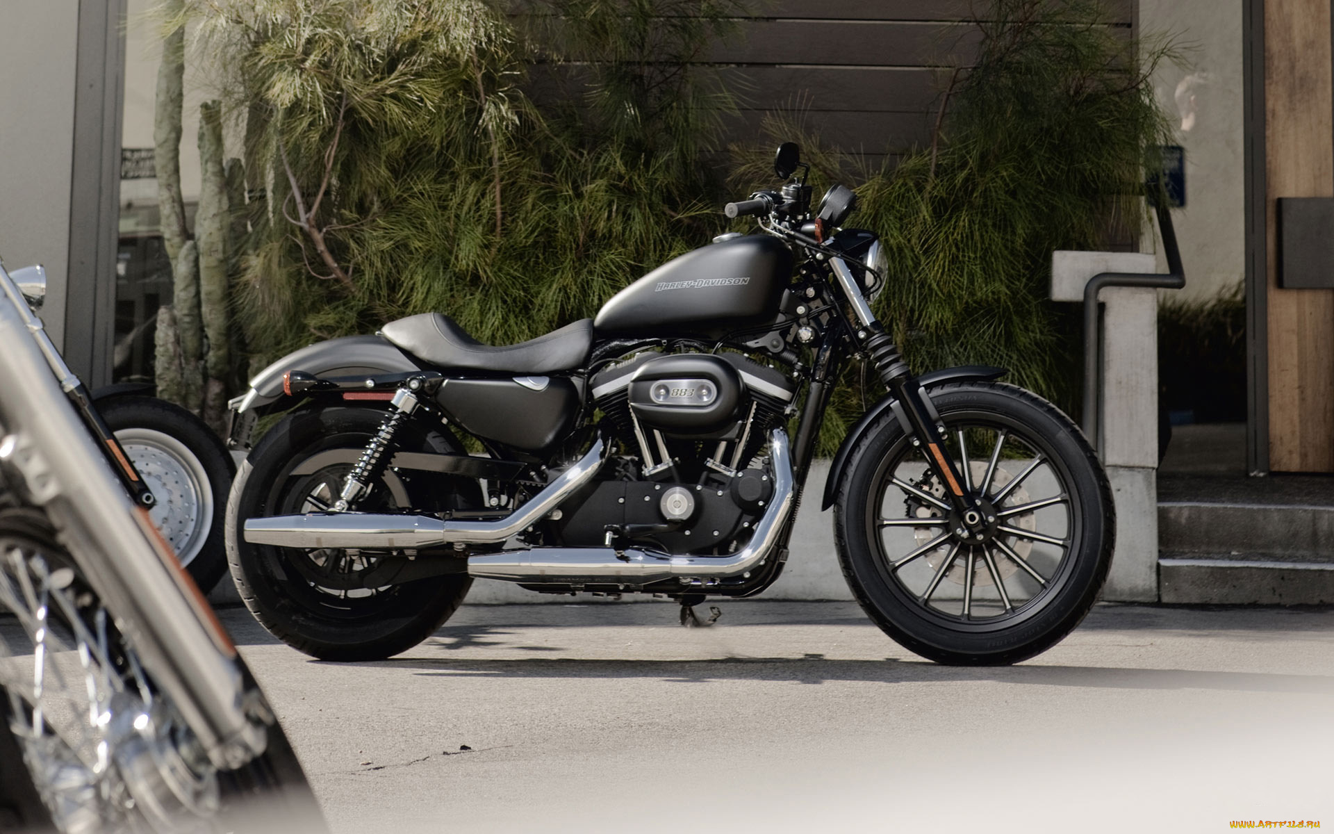 мотоциклы, harley, davidson