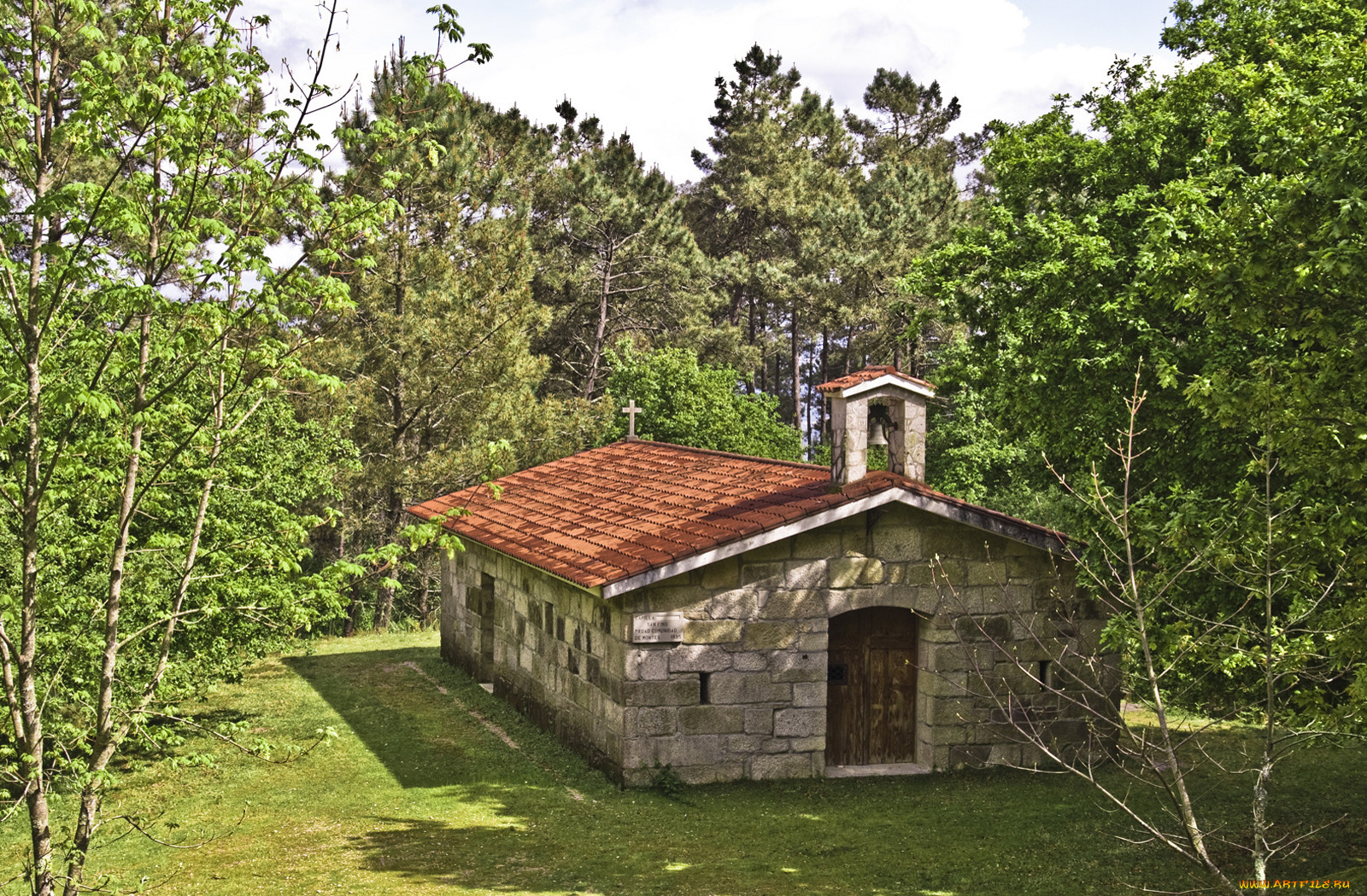 города, католические, соборы, костелы, аббатства, деревья