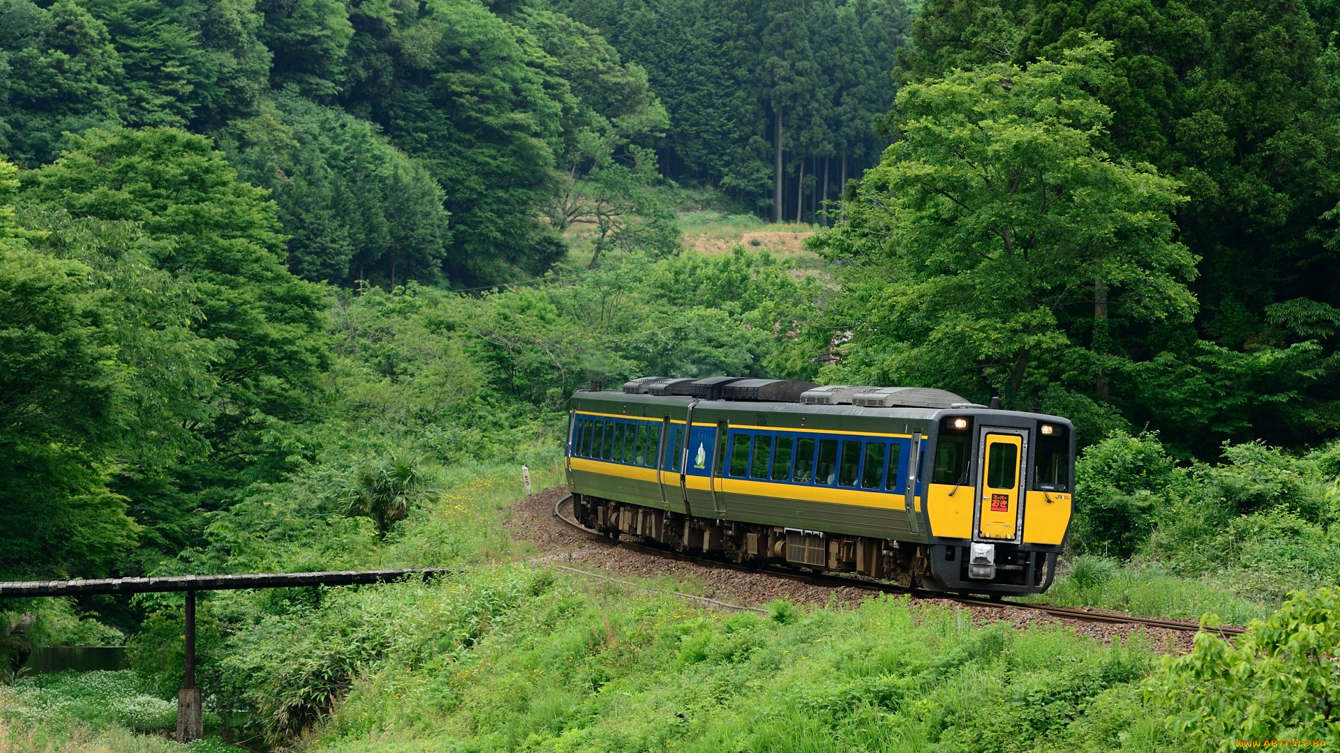 техника, вагоны, лес, поезд