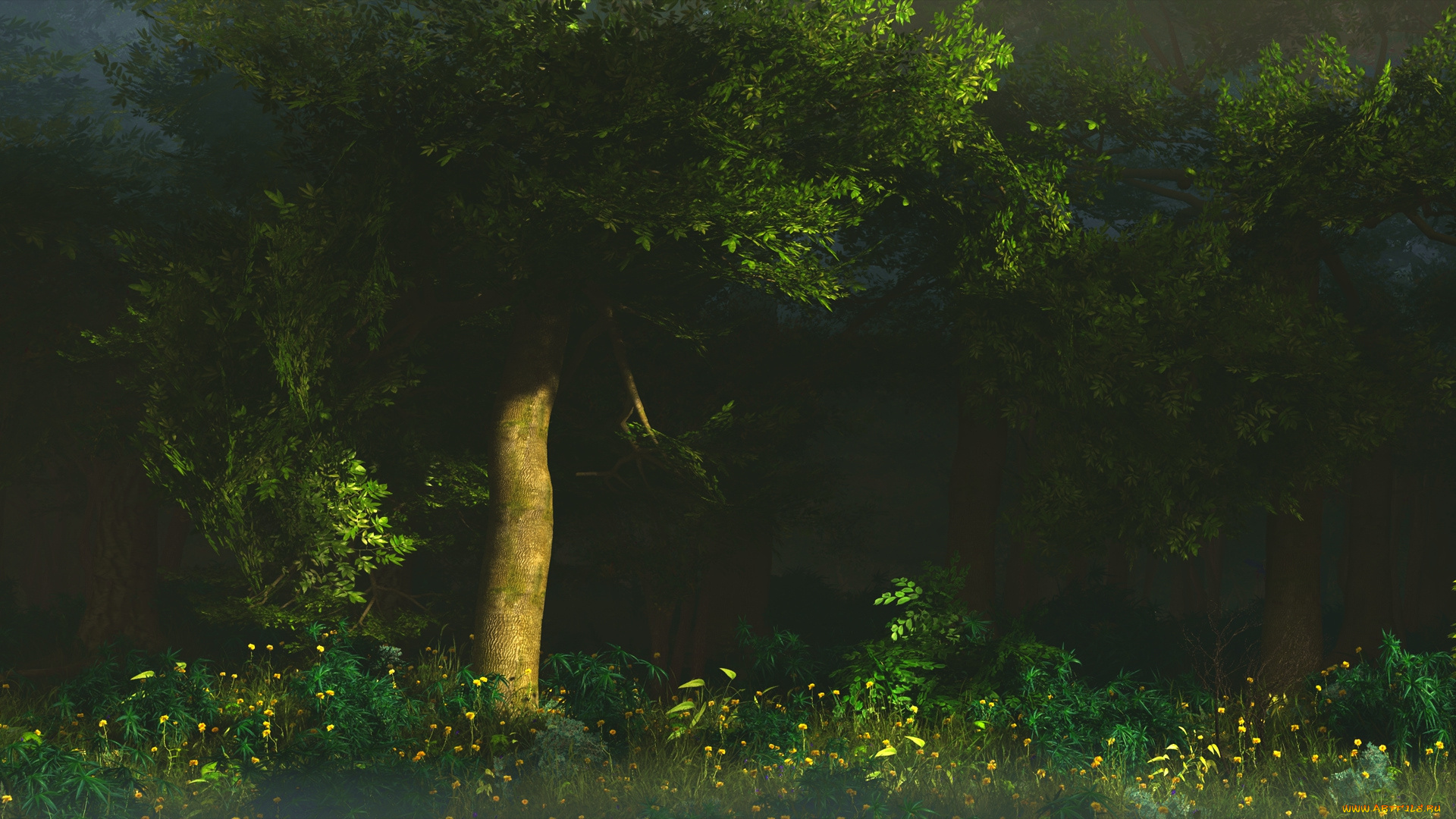 3д, графика, nature, landscape, природа, лес