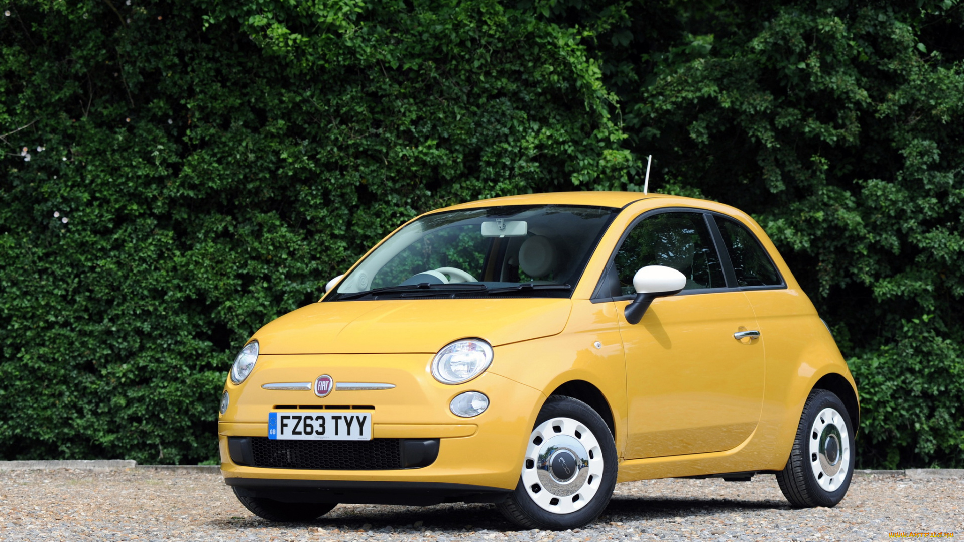 2013, fiat, 500, colour, therapy, автомобили