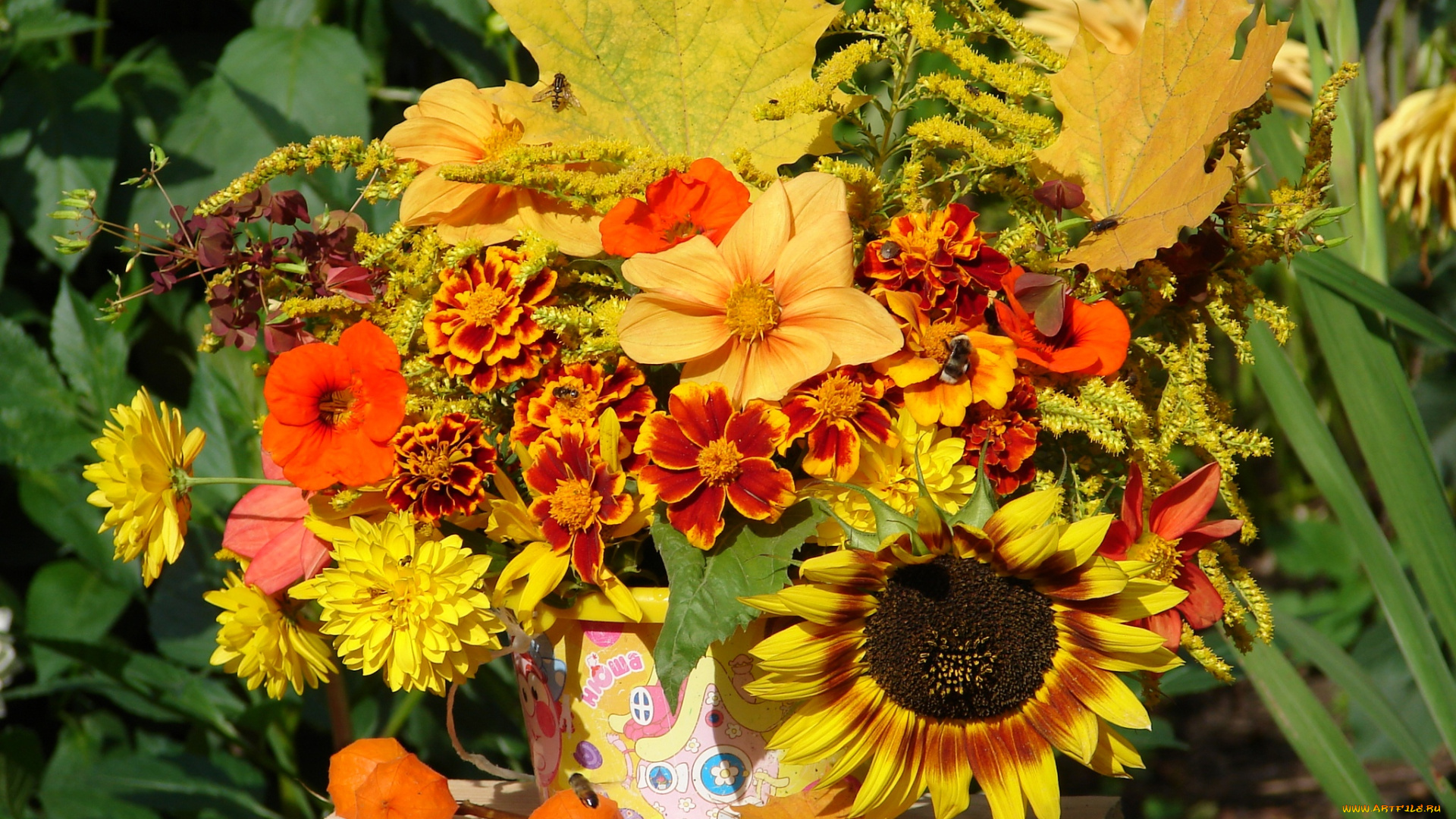 цветы, букеты, композиции, листья, композиция