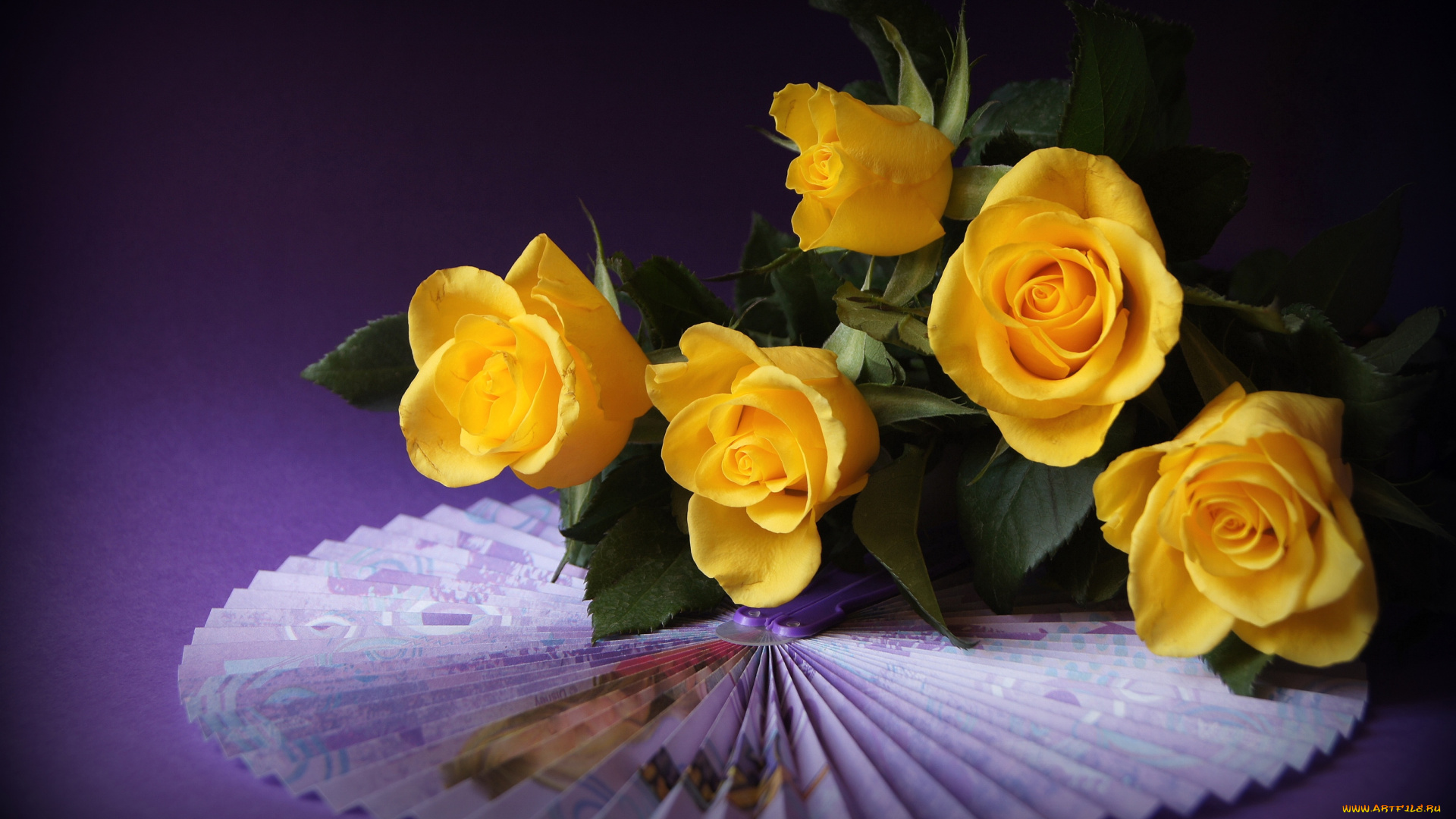 цветы, розы, веер, желтый