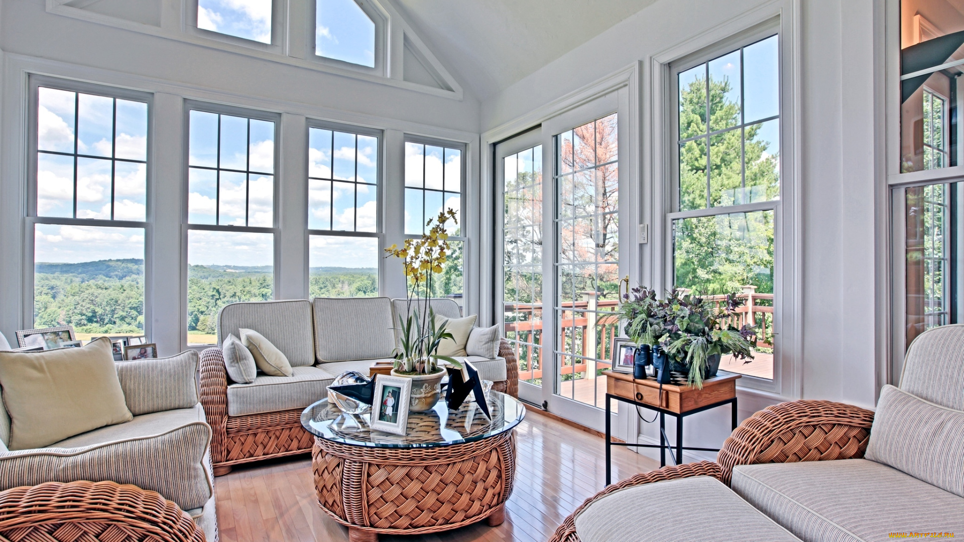 интерьер, веранды, террасы, балконы, диваны, столик, орхидея, окна