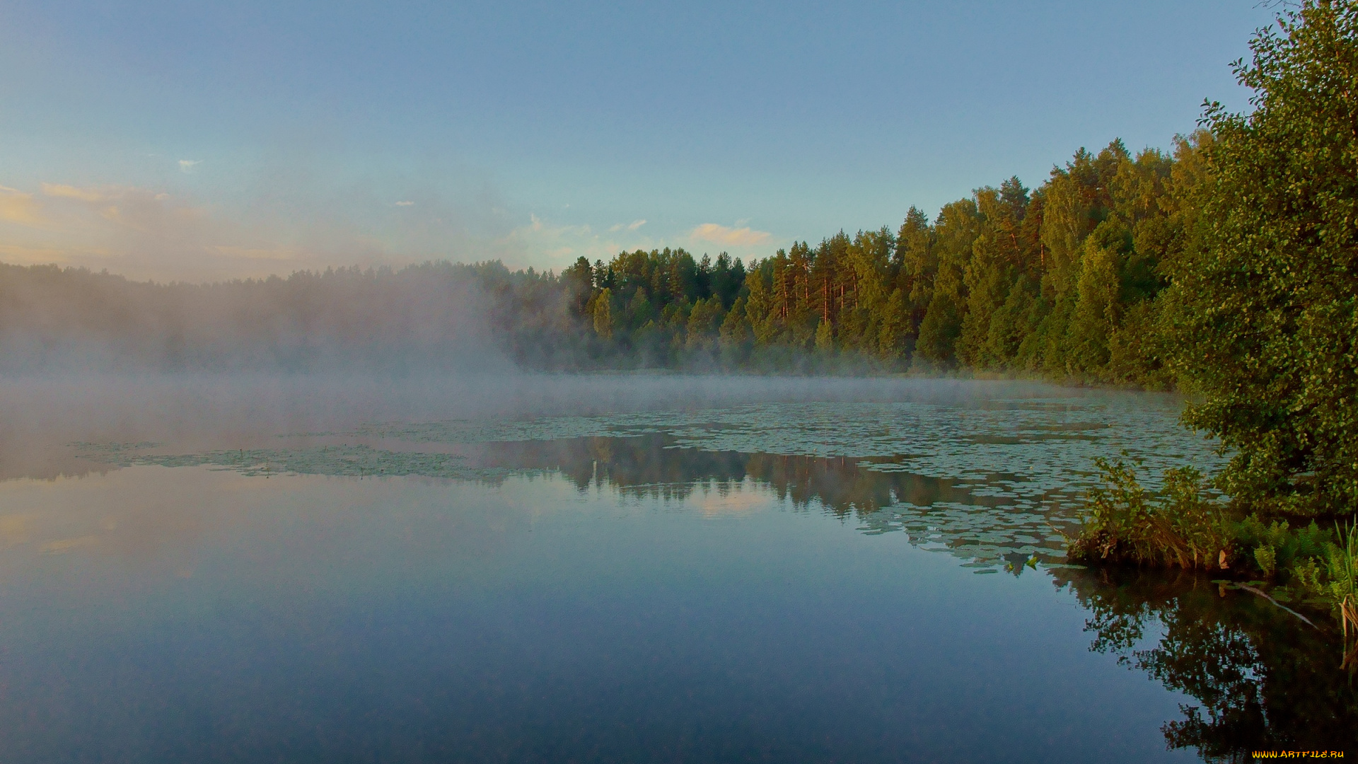 оз, светлояр, природа, реки, озера, озеро, лес, утро, туман