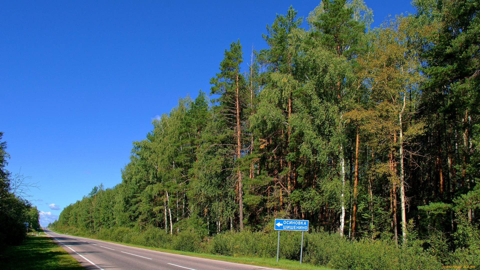 природа, дороги, дорога, лес, небо