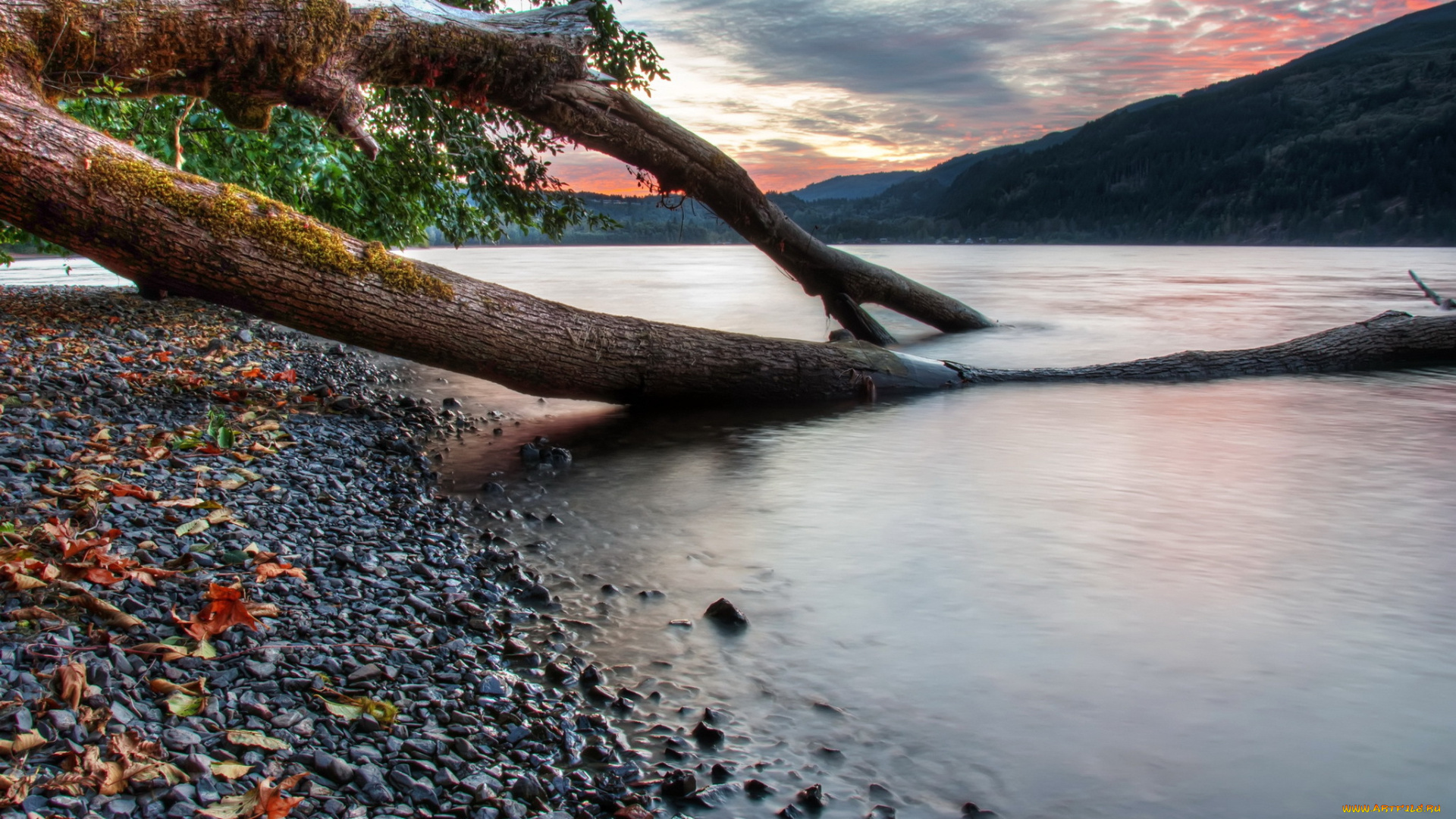 природа, реки, озера, канада, озеро, камни, дерево, листья