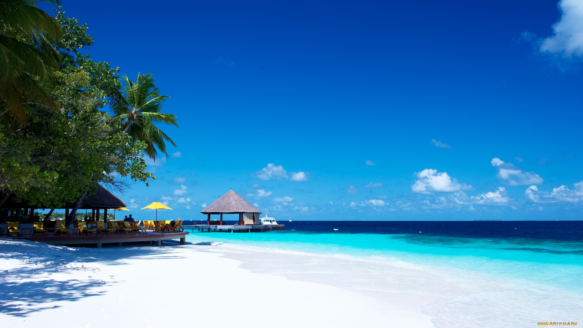 природа, тропики, океан, побережье