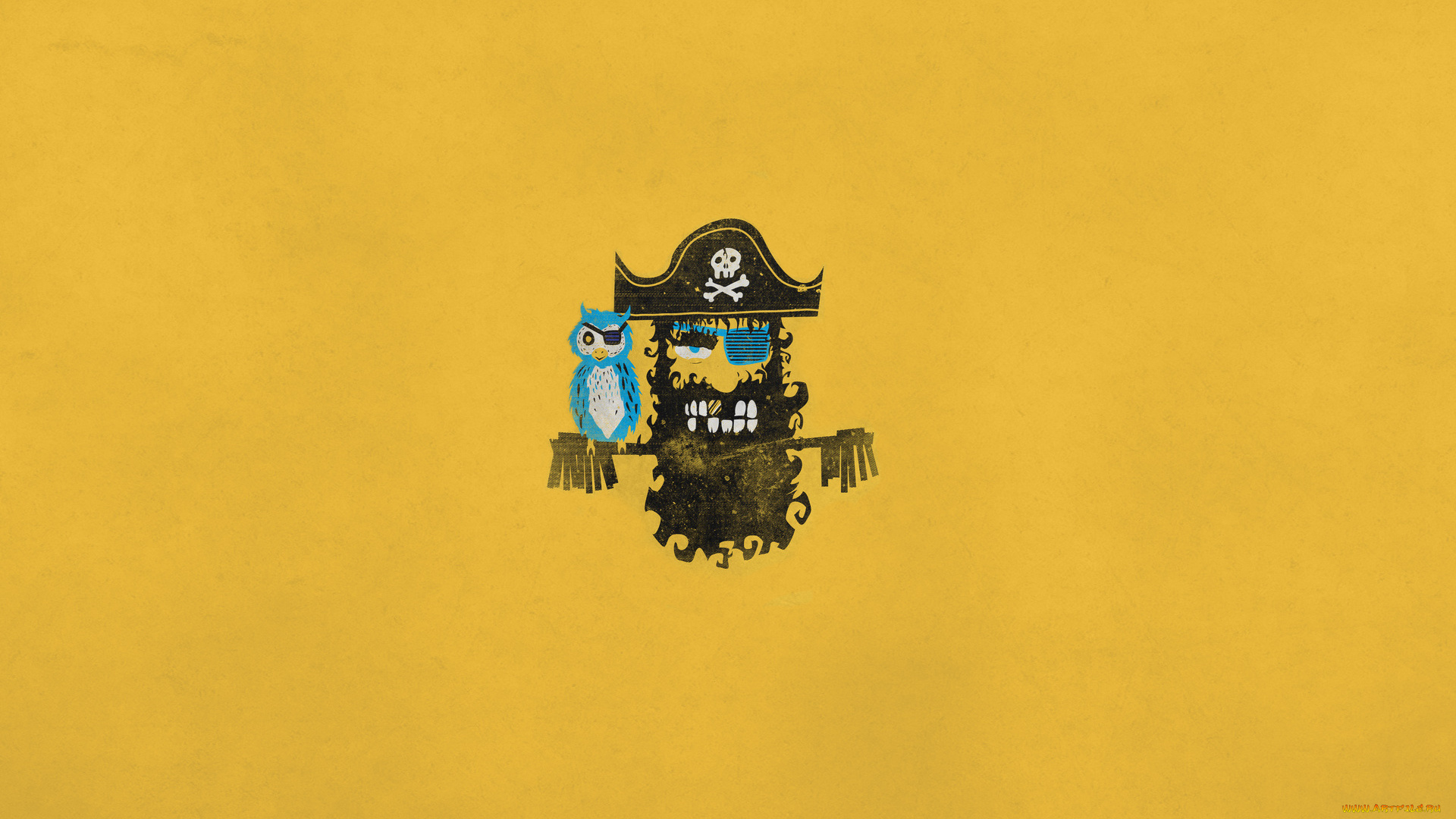 рисованные, минимализм, пират, попугай, птица, шляпа, черная, борода, повязка, череп, кости, золотой, зуб