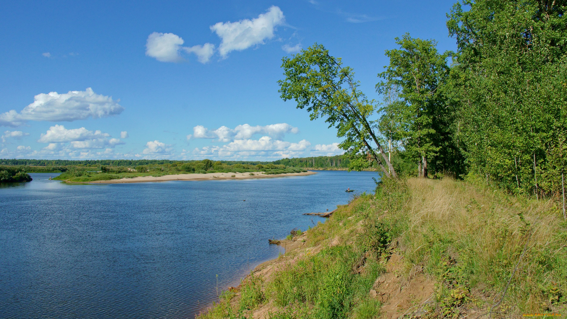 ветлуга, природа, реки, озера, река, берег, лес, небо, облака