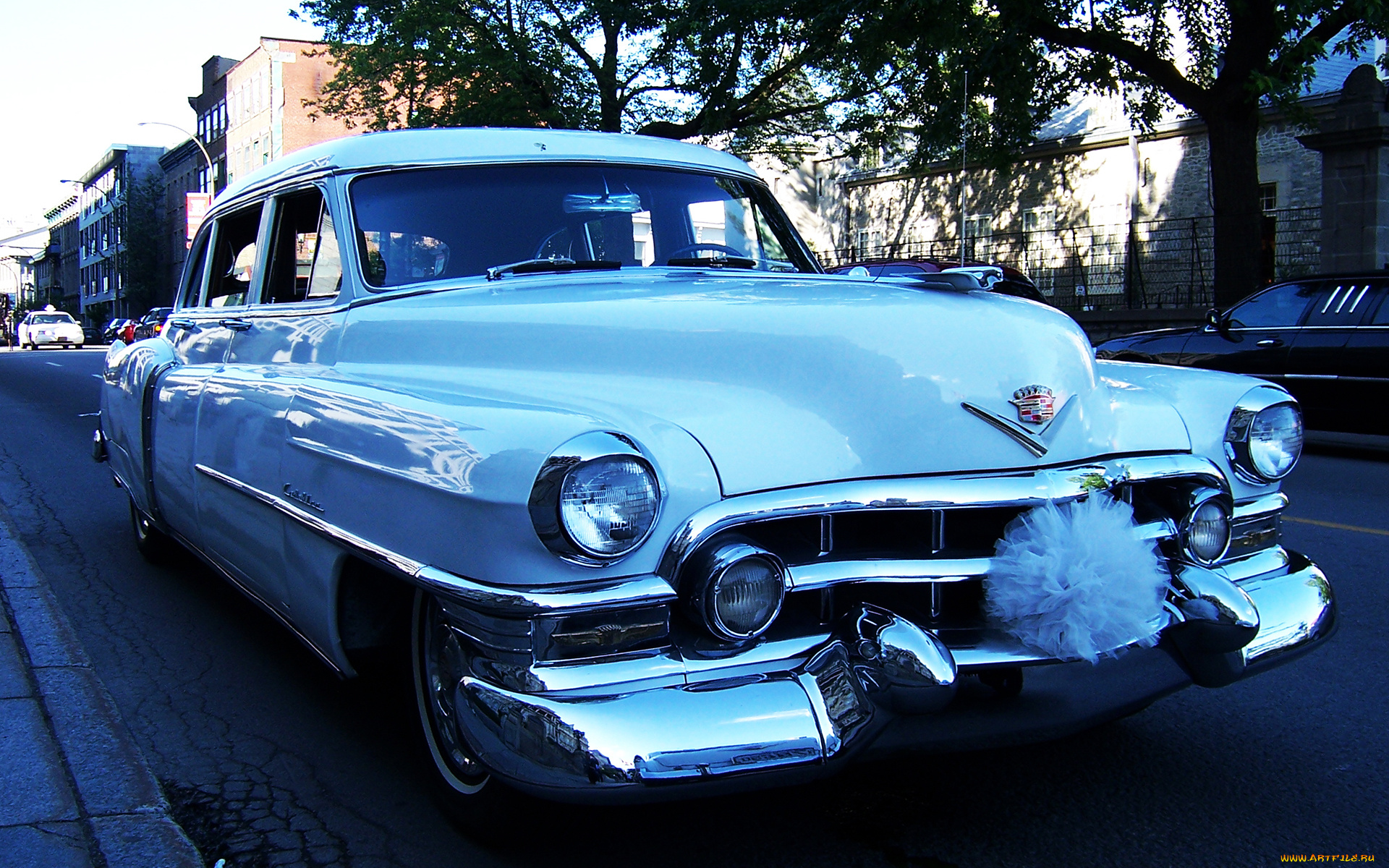 автомобили, выставки, уличные, фото, cadillac