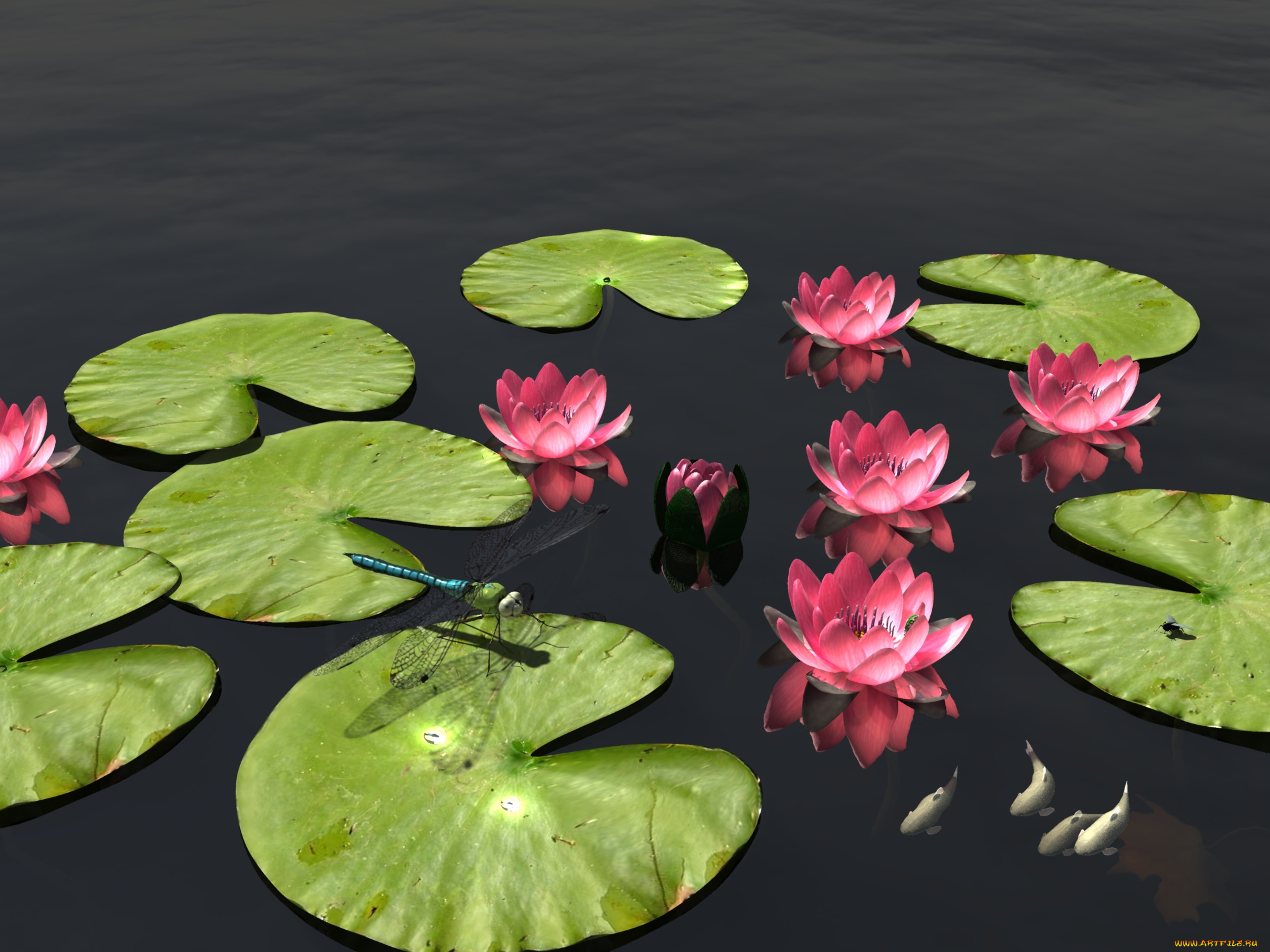 3д, графика, flowers, цветы, листья, стрекоза, вода, лилии
