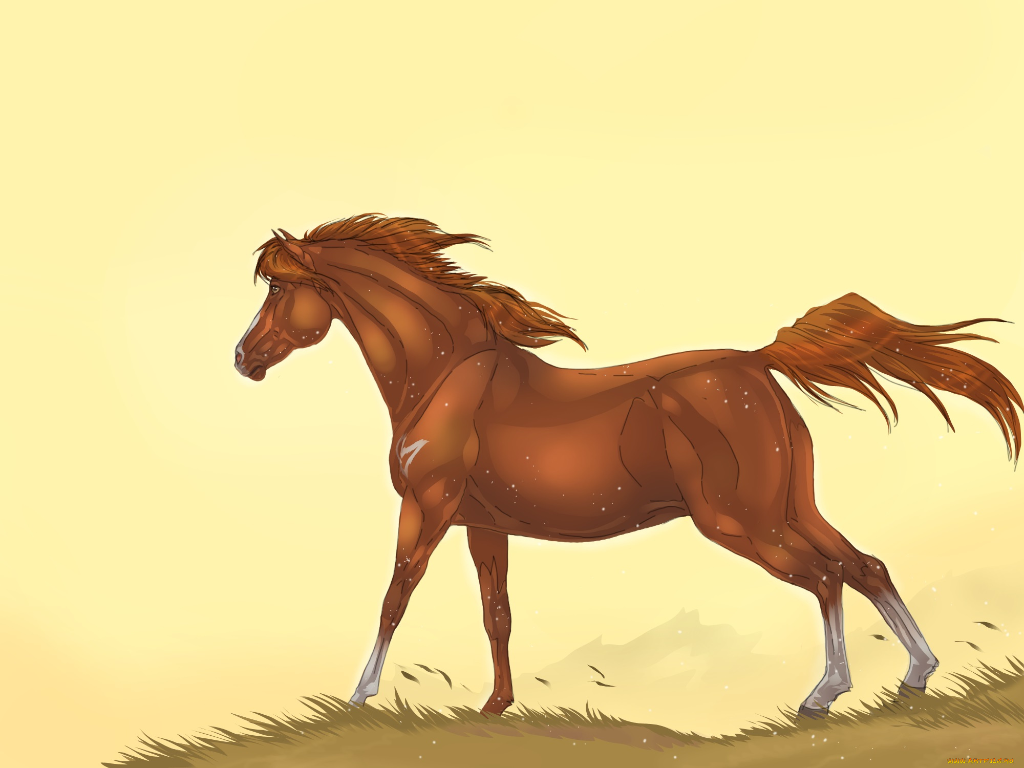 рисованные, животные, лошади, лошадь