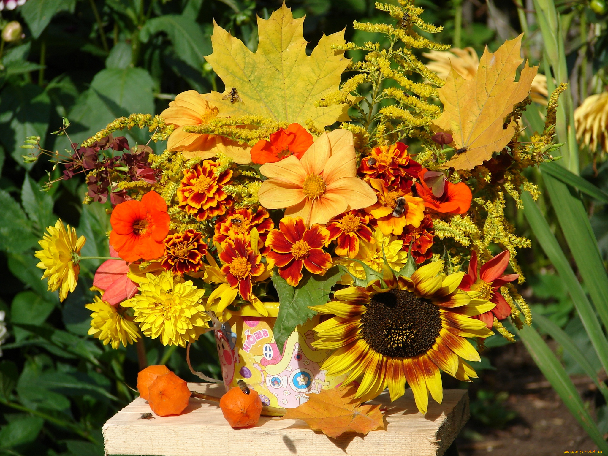 цветы, букеты, композиции, листья, композиция