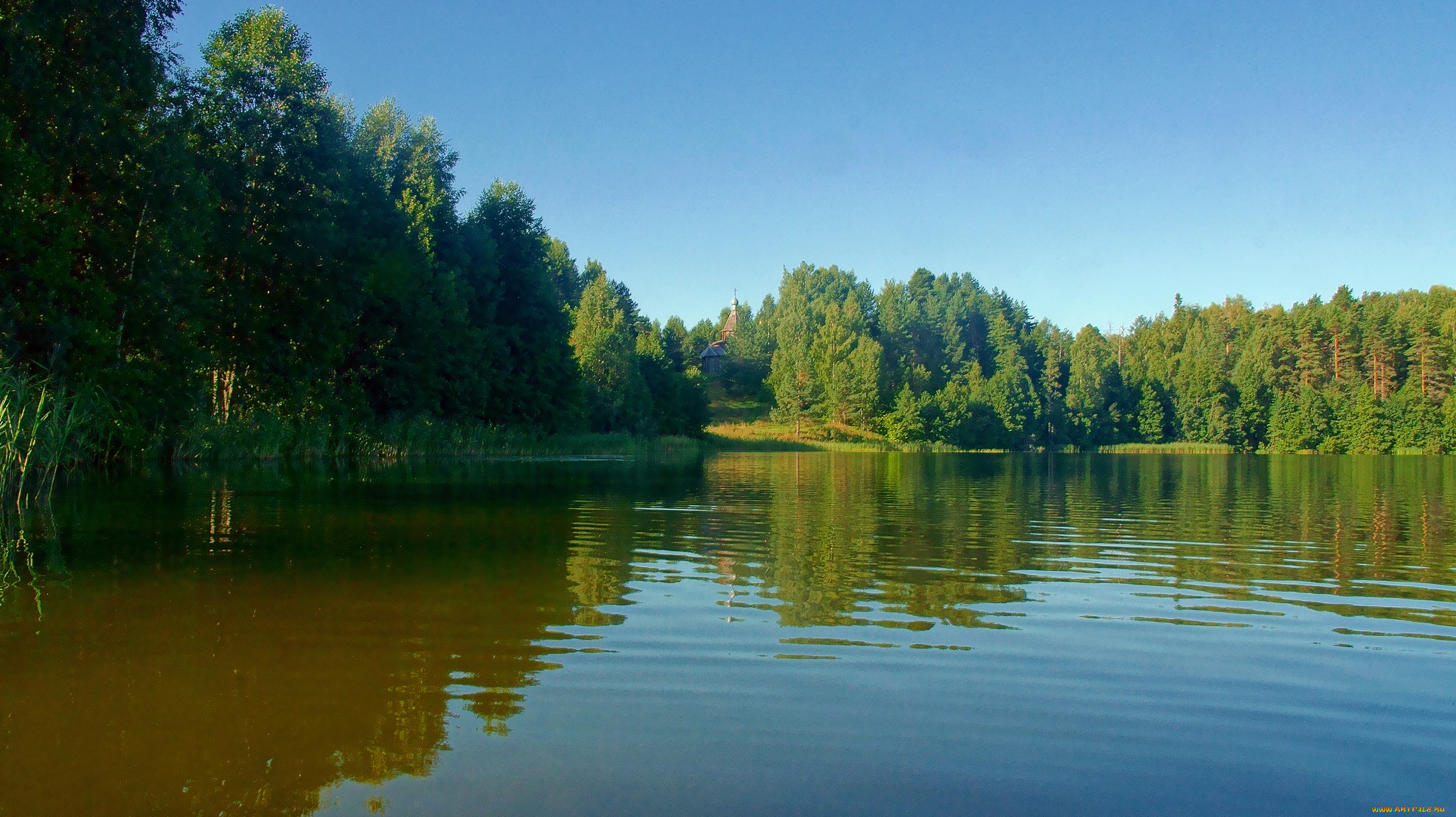 оз, светлояр, природа, реки, озера, озеро, вода, лес, небо, церковь