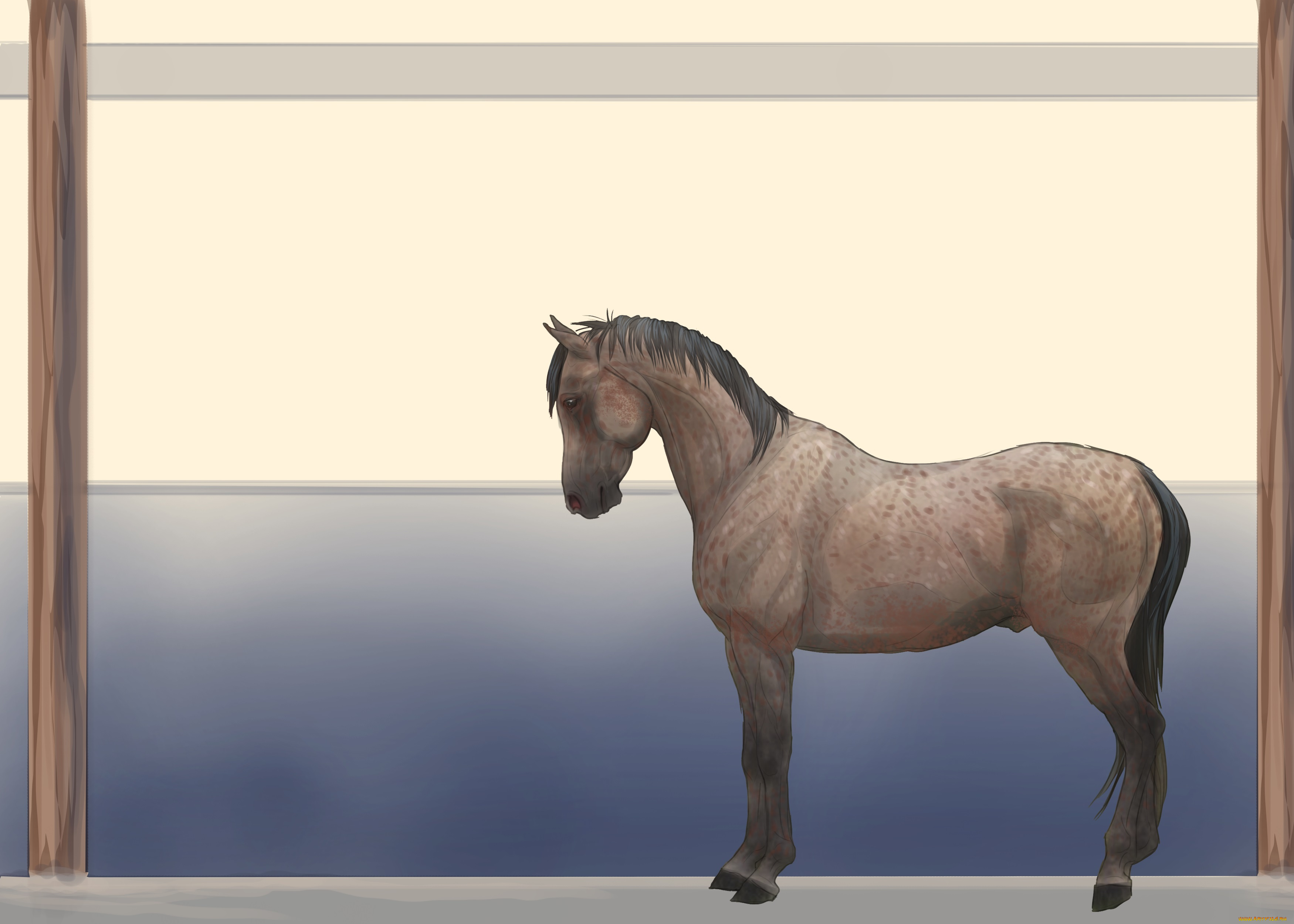 рисованные, животные, лошади, лошадь