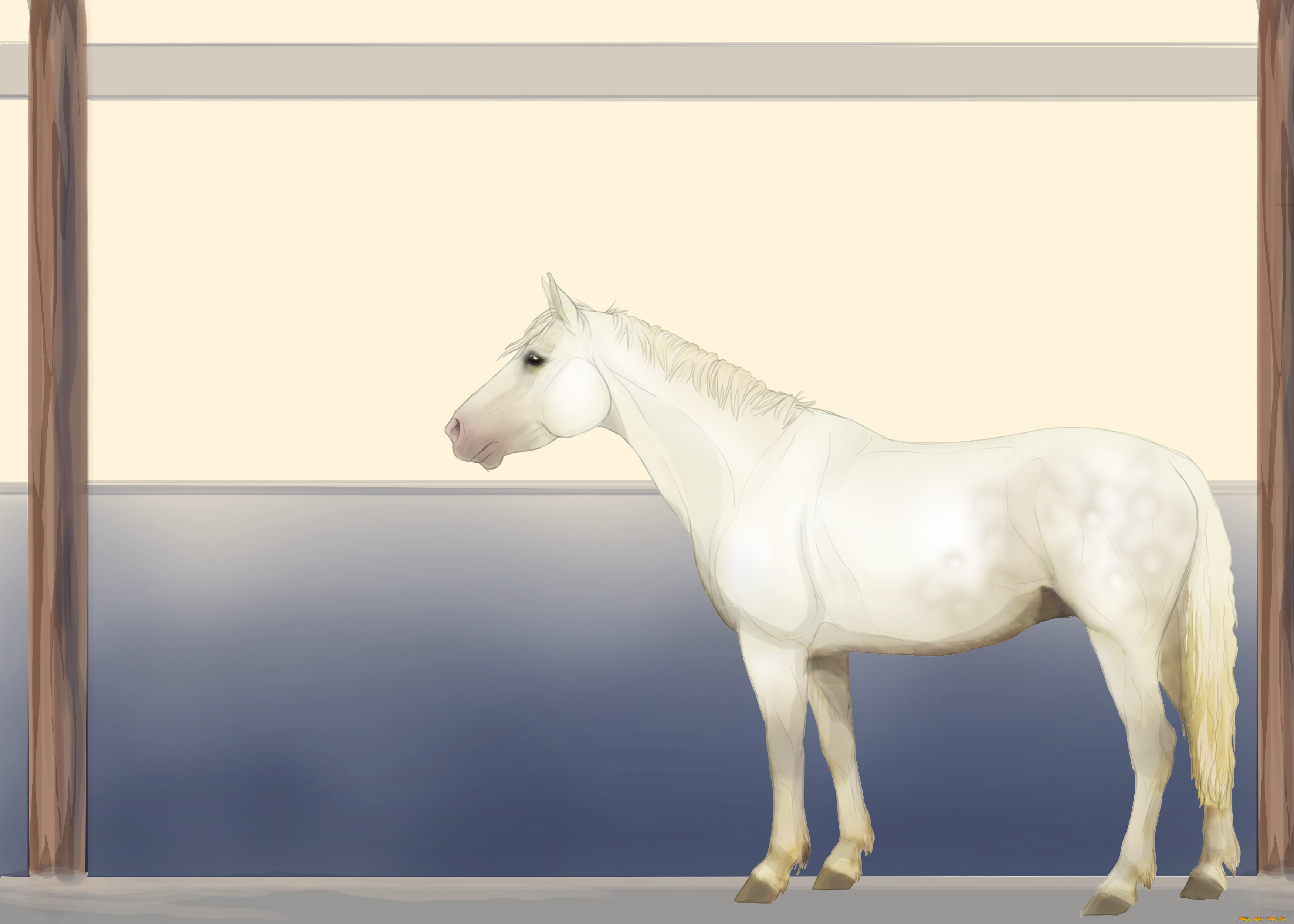 рисованные, животные, лошади, лошадь