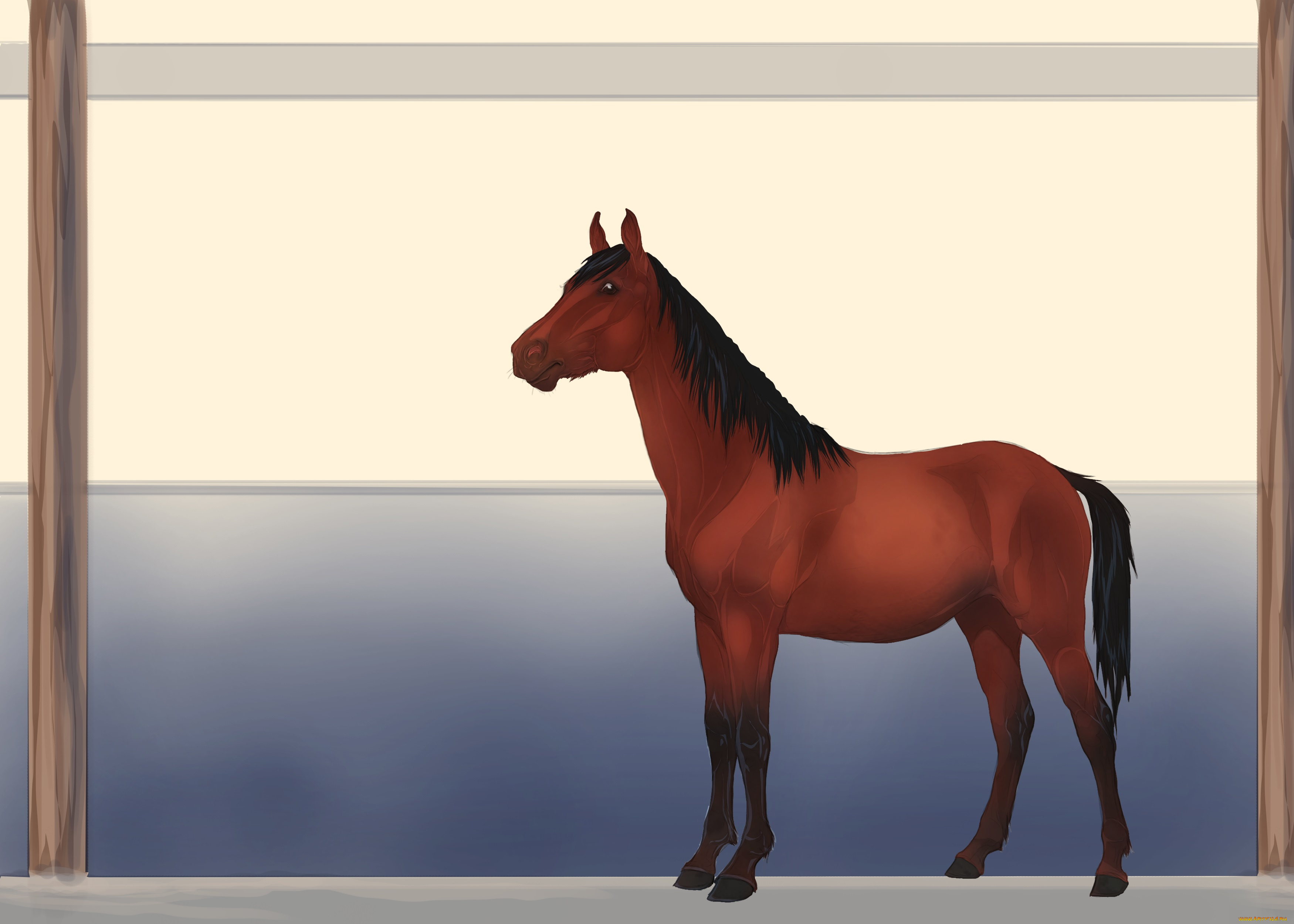 рисованные, животные, лошади, лошадь