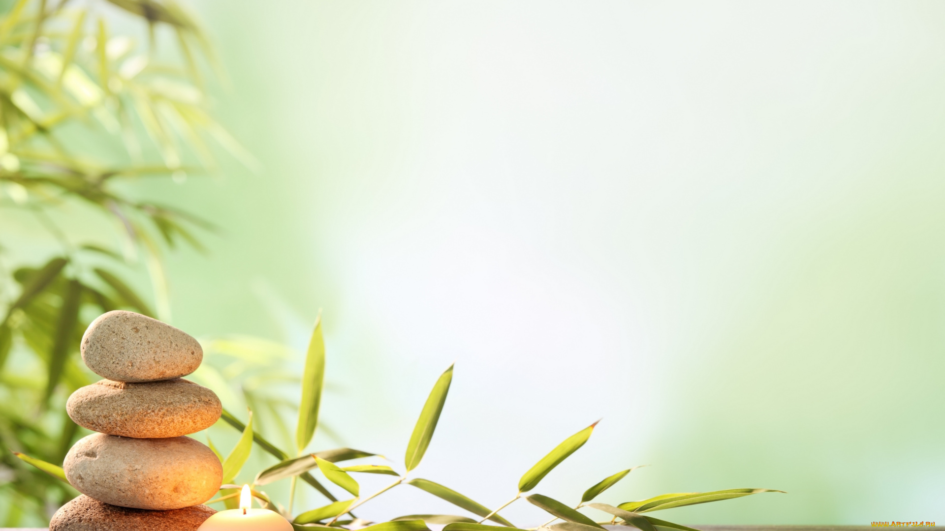 разное, ракушки, , кораллы, , декоративные, и, spa-камни, вода, листик, спа, камни