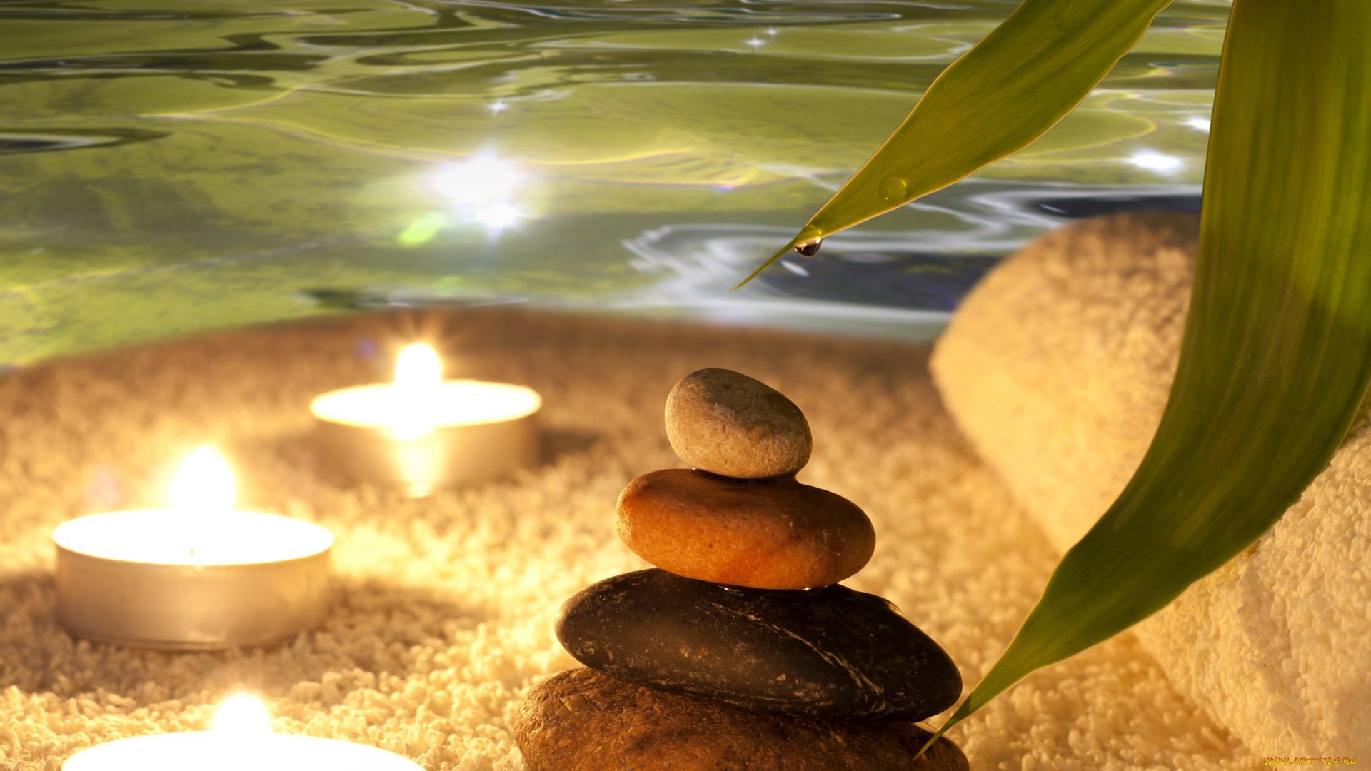 разное, ракушки, , кораллы, , декоративные, и, spa-камни, листик, спа, камни, вода