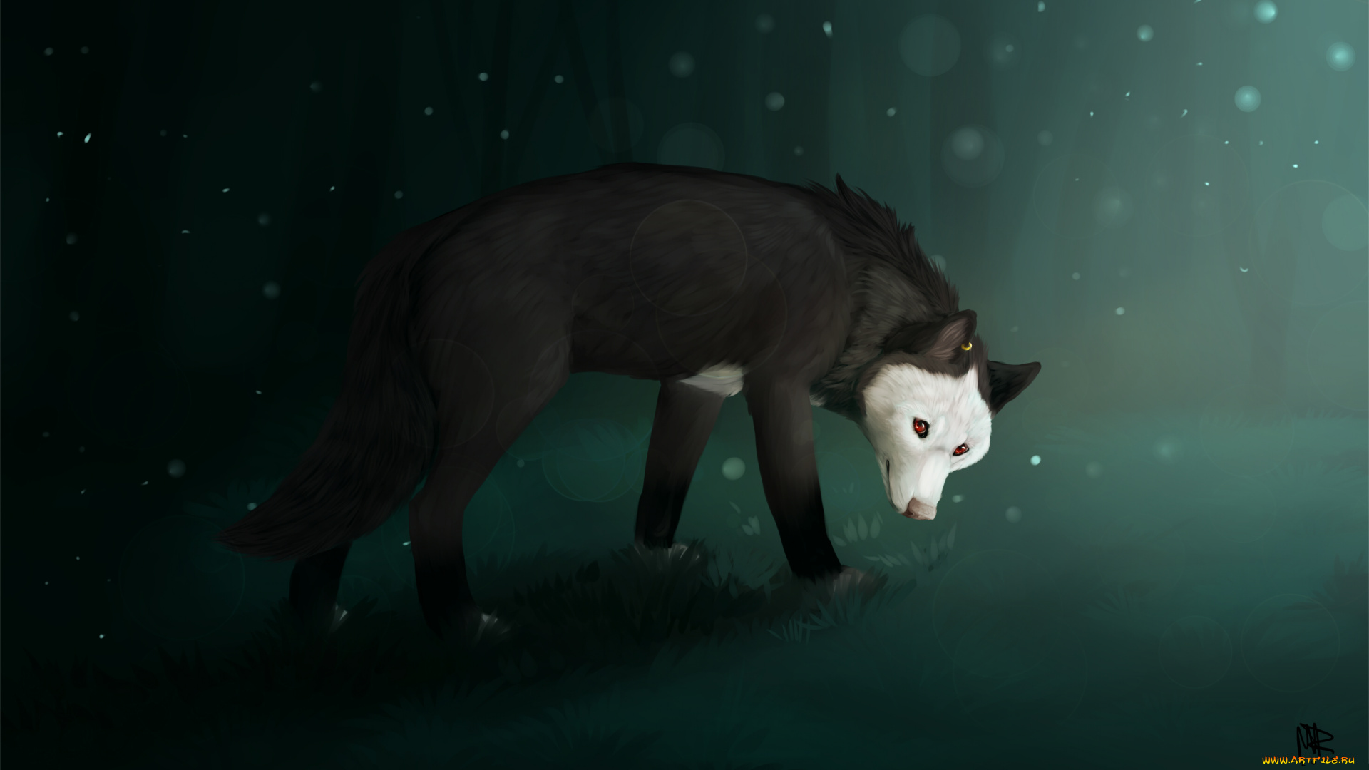 рисованные, животные, , собаки, фон, собака