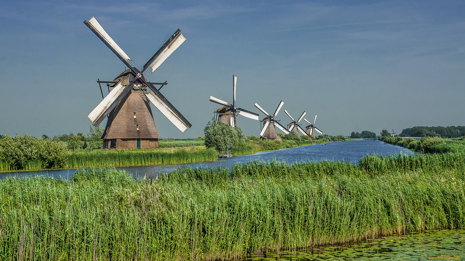 разное, мельницы, мельница, ветряк