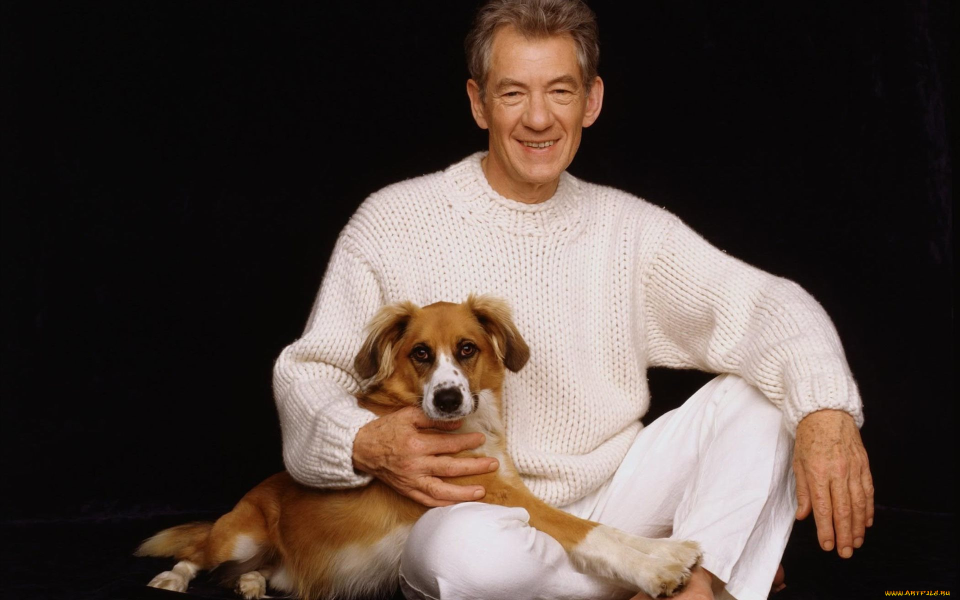 ian, murray, mckellen, мужчины, британский, актер, собака, фон, взгляд