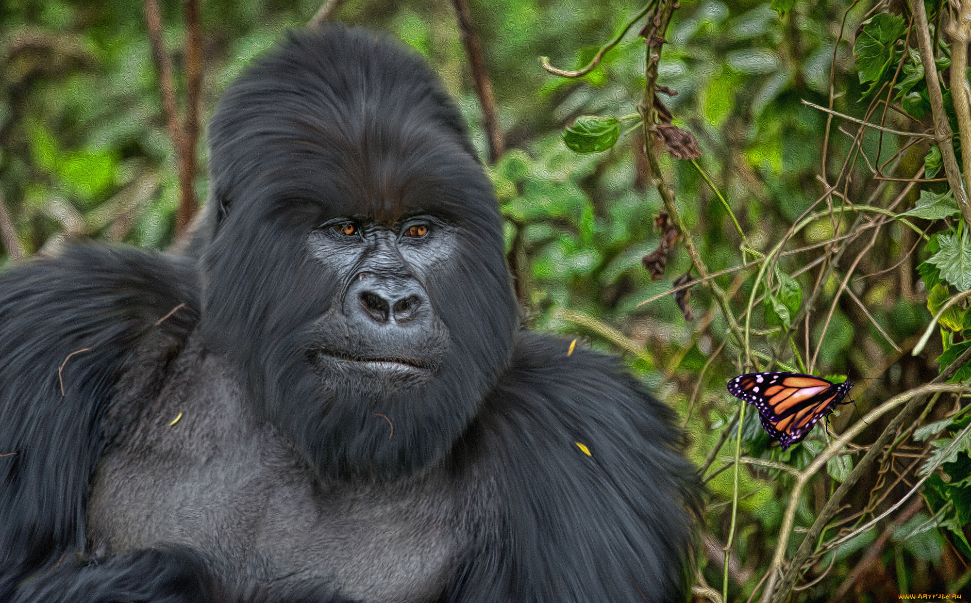 рисованное, животные, бабочка, обезьяна, живопись, природа