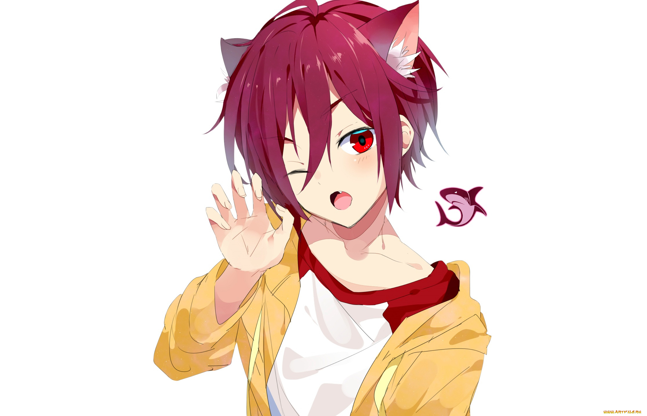 аниме, free, rin, matsuoka