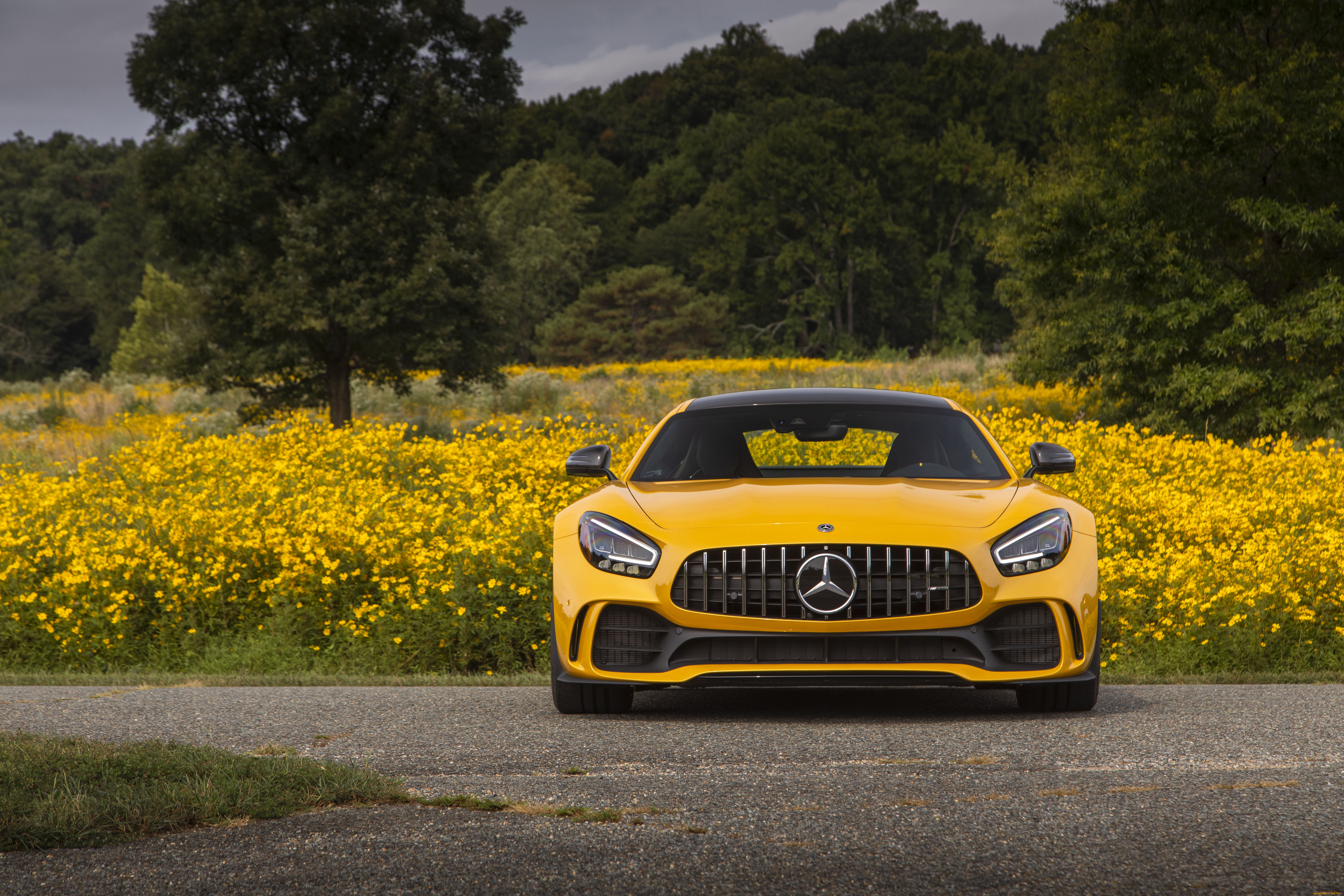 2020, mercedes, amg, gt, r, автомобили, mercedes-benz, мерседес, amg, вид, спереди, r, gt, 2020, mercedes