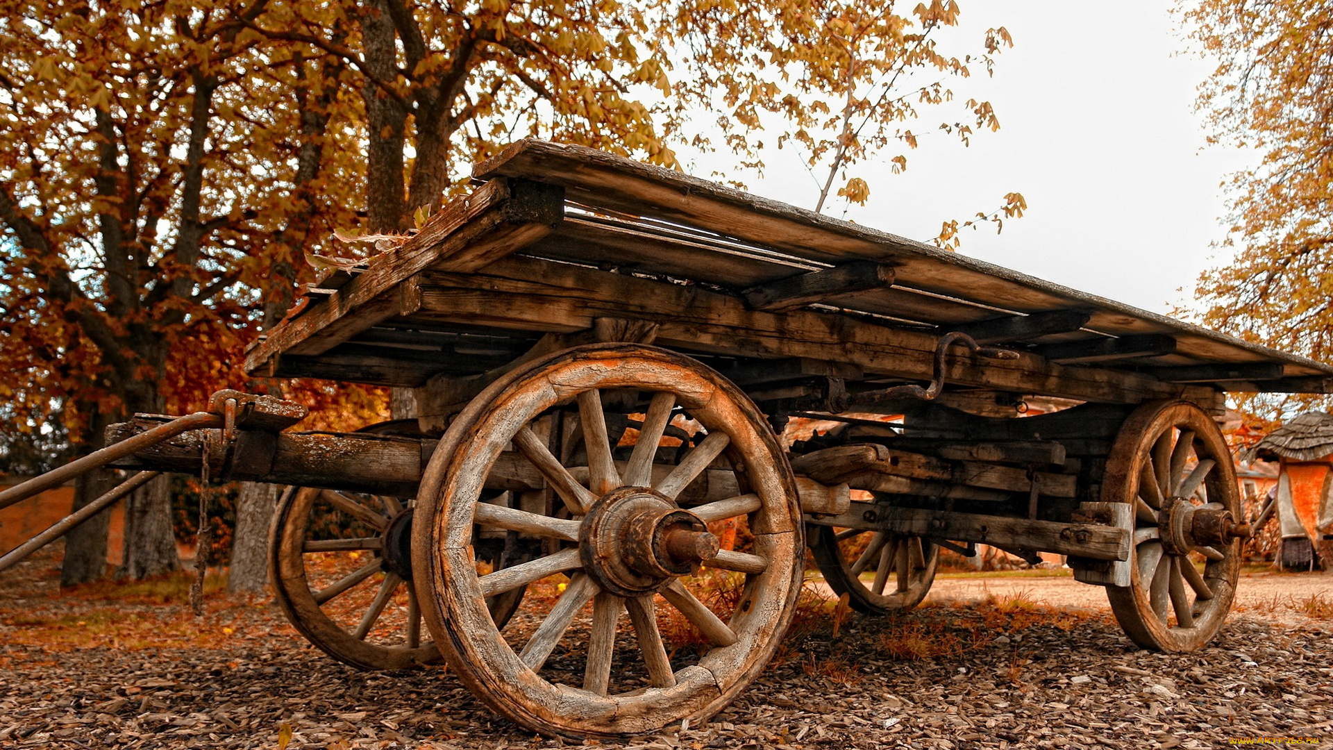 техника, другое, телега, осень