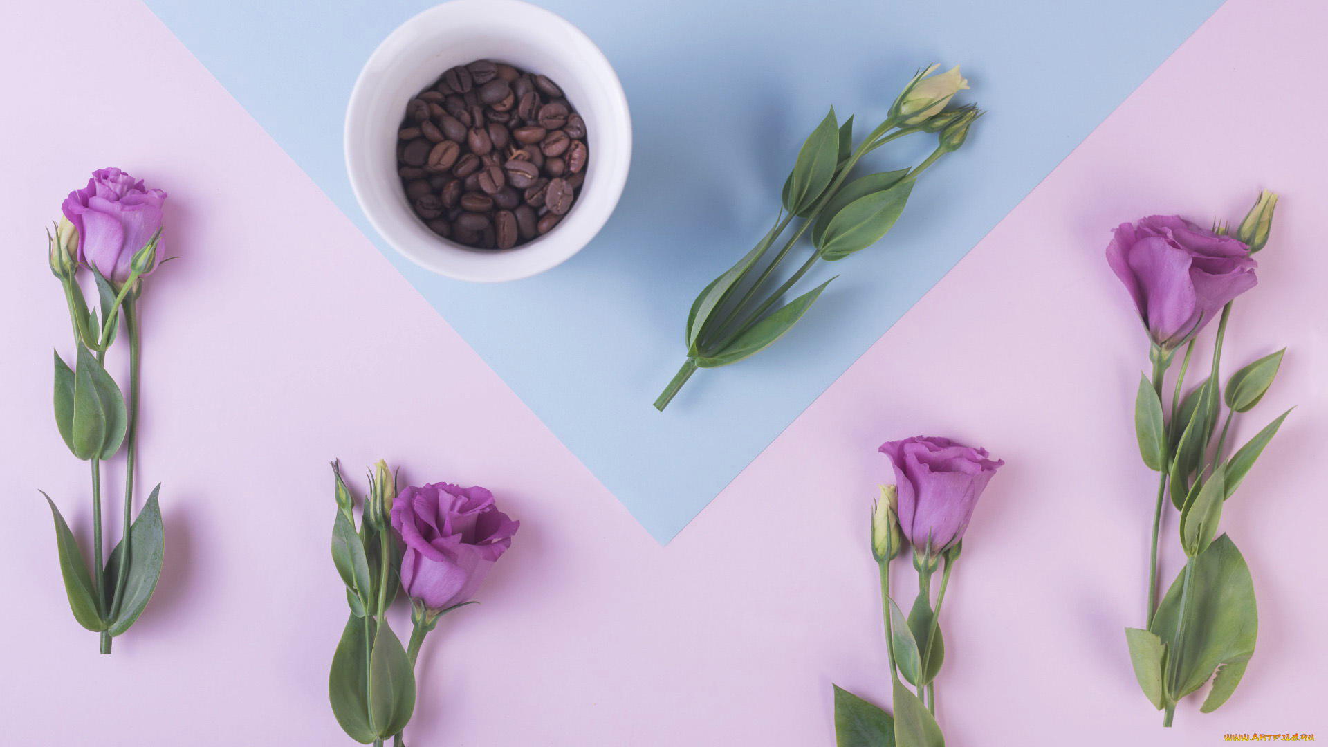 еда, кофе, , кофейные, зёрна, эустома, зерна