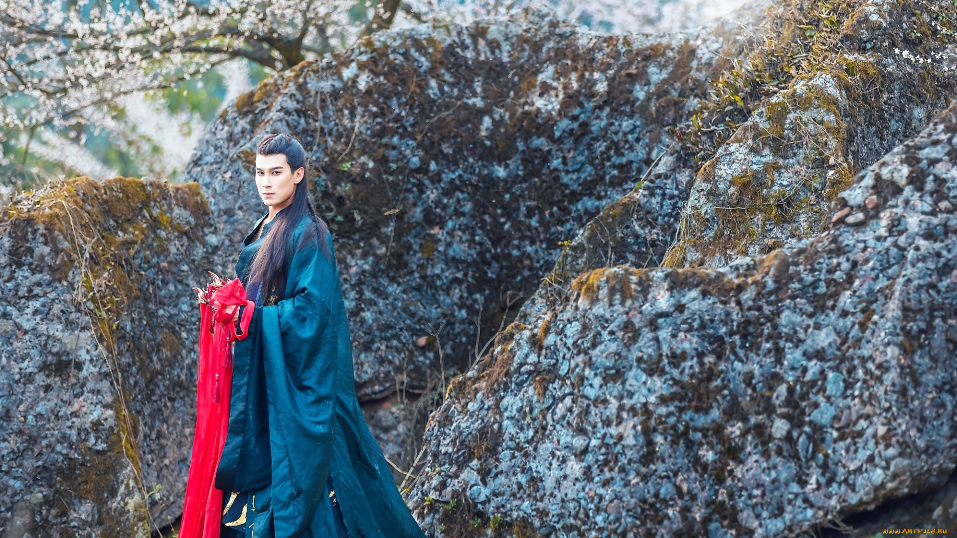 мужчины, -, креатив, , косплей, мужчина, костюм, камни, дерево, цветение