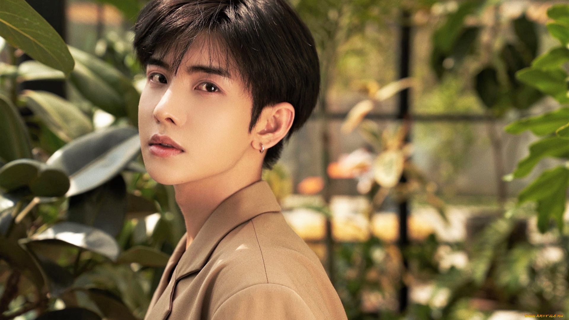 мужчины, zheng, fan, xing, актер, пиджак, сад