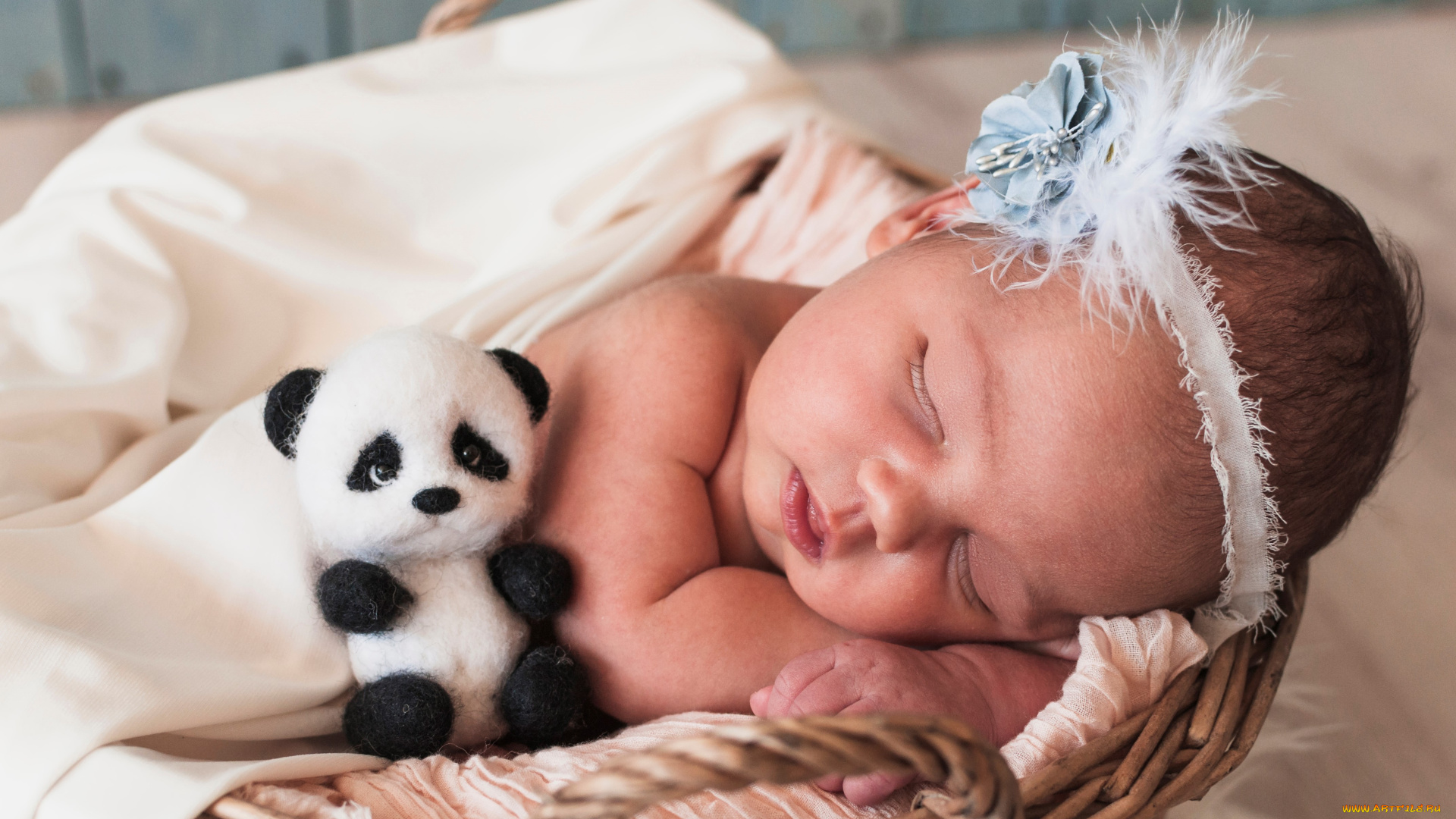 разное, дети, младенец, корзина, игрушка