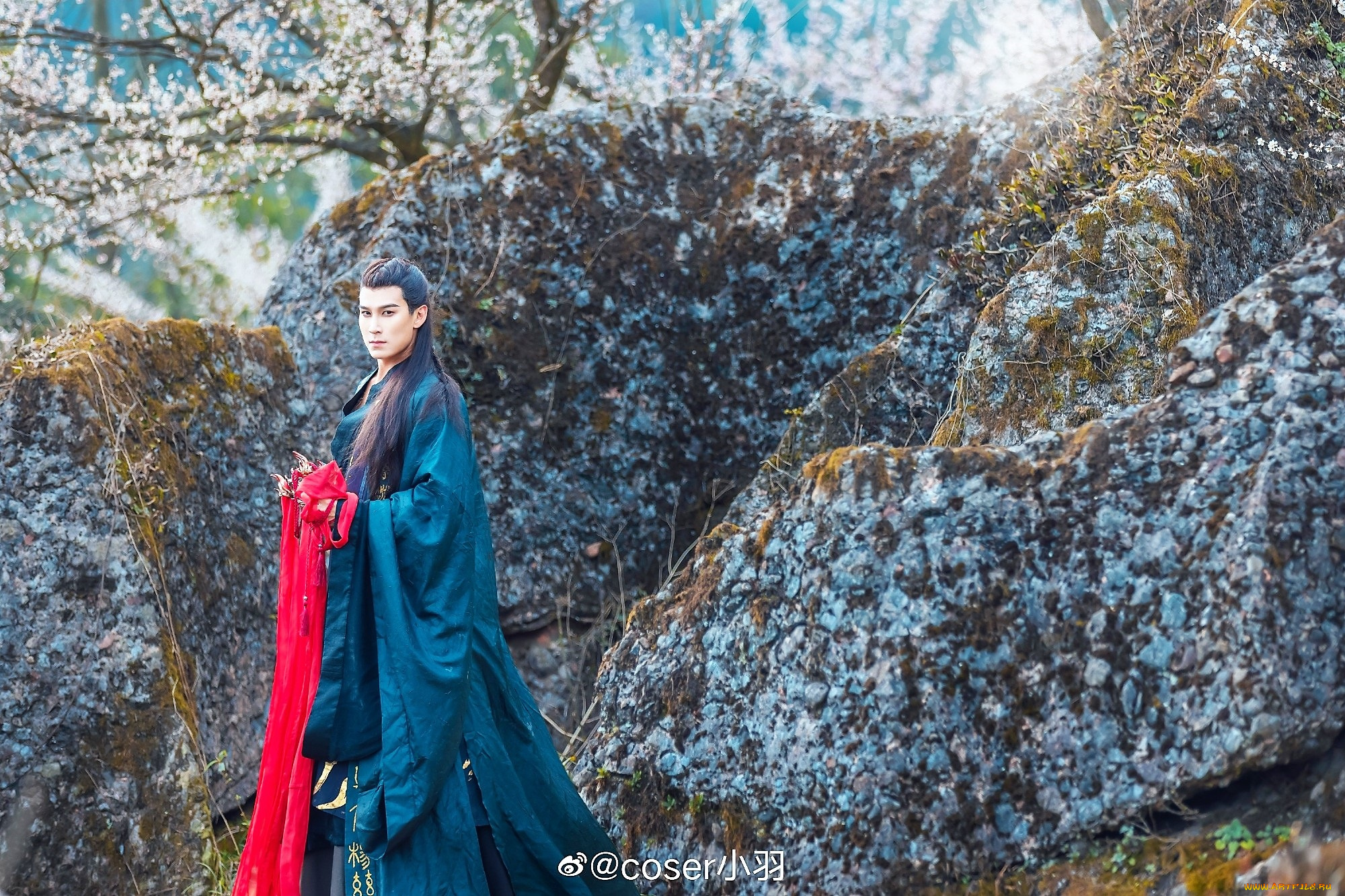 мужчины, -, креатив, , косплей, мужчина, костюм, камни, дерево, цветение