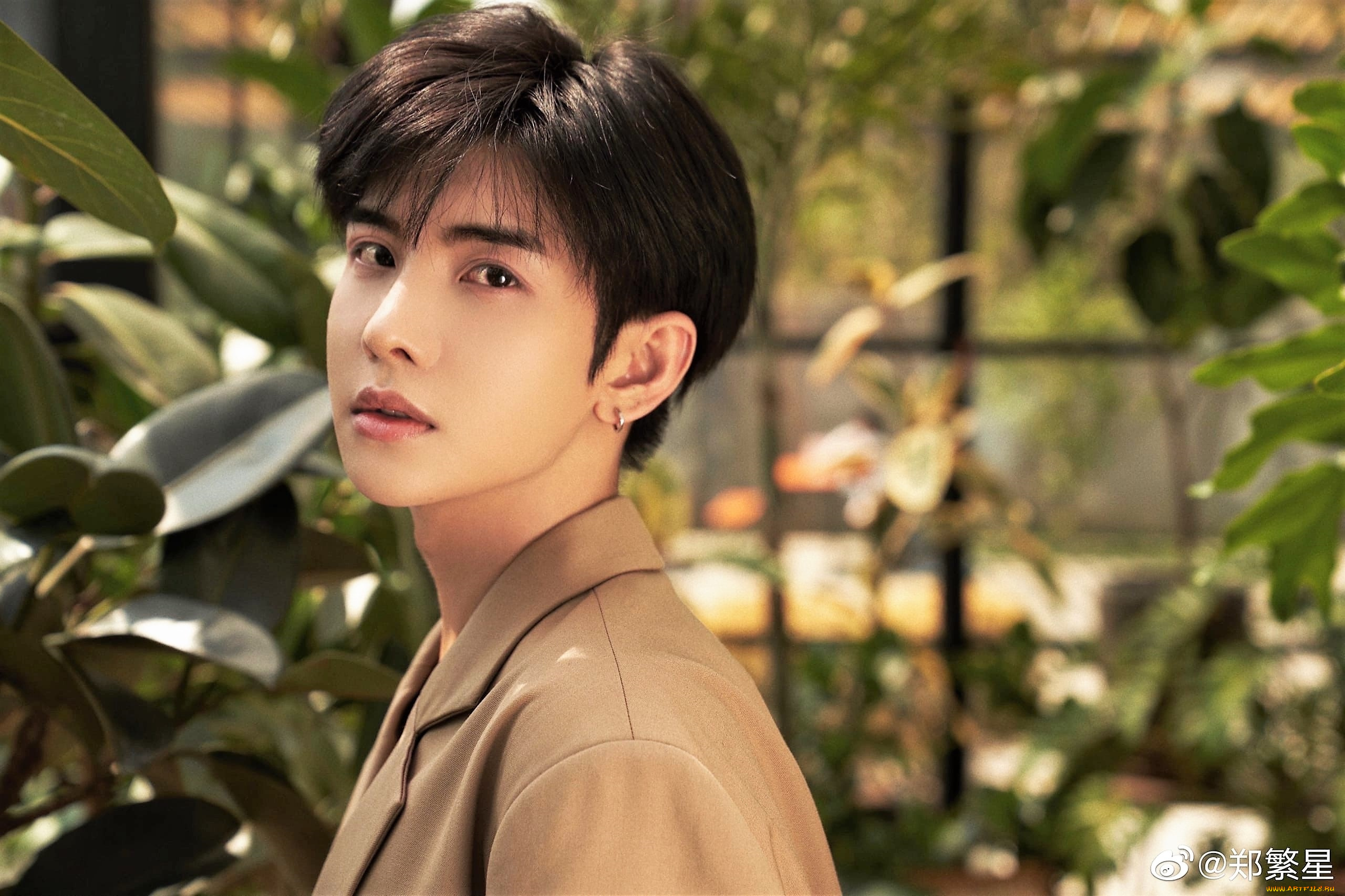 мужчины, zheng, fan, xing, актер, пиджак, сад